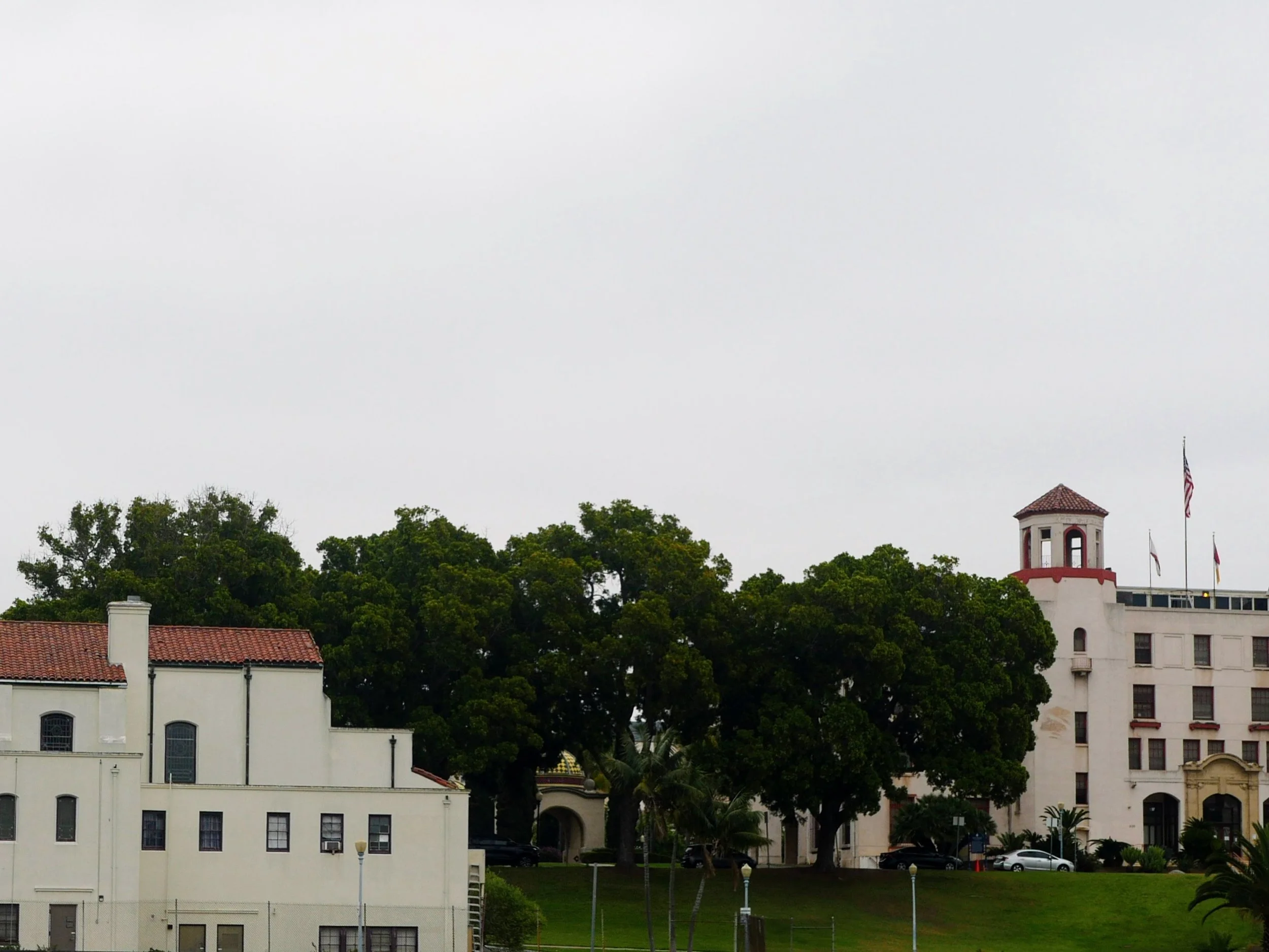 Skyline view of several buildings with trees and a grassy area in the foreground, overcast sky.
