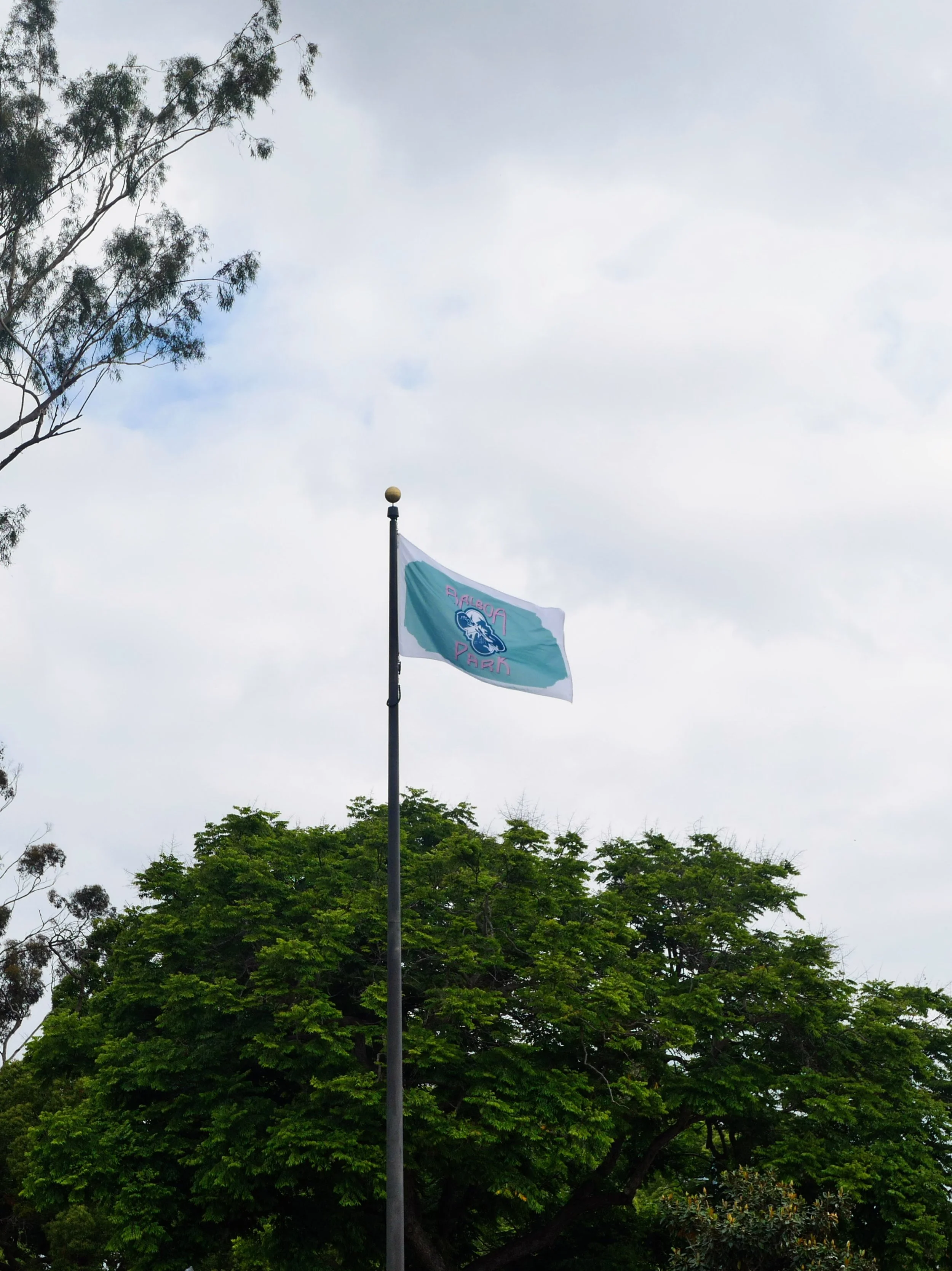 A flag with the logo for Ballona Wetlands Park flying on a flagpole against a cloudy sky, with trees in the background.