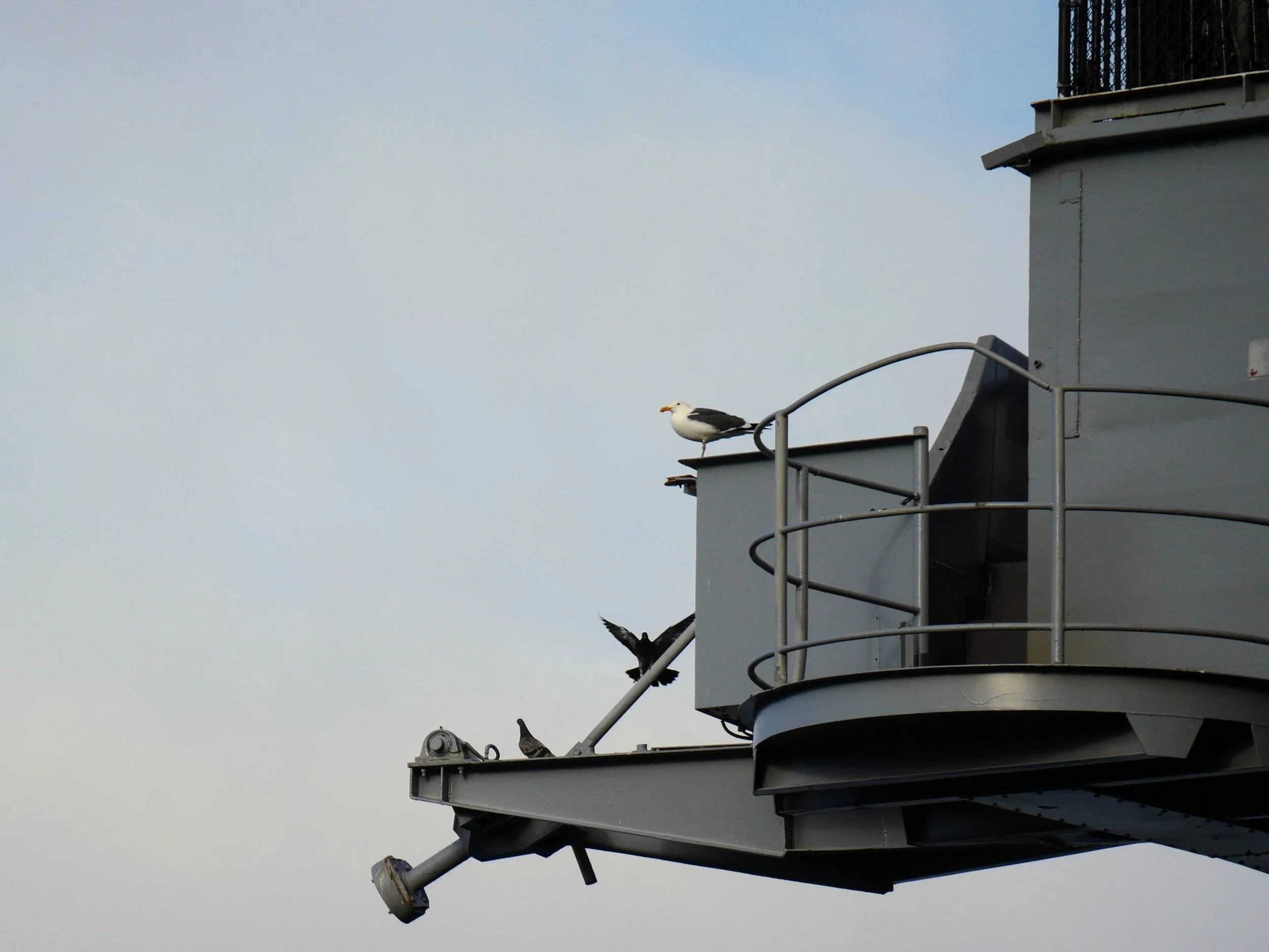 19.04.2026 - Downtown sd &amp; Bay