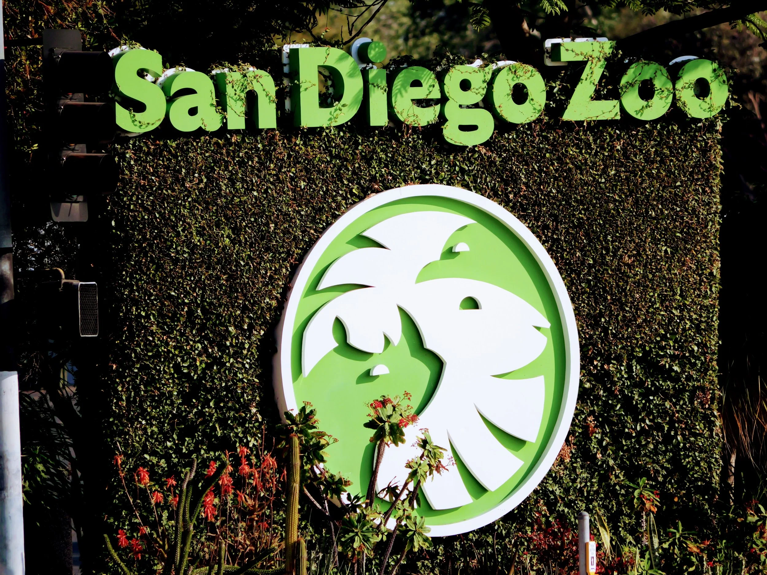 June Member Early Hours at the San Diego Zoo