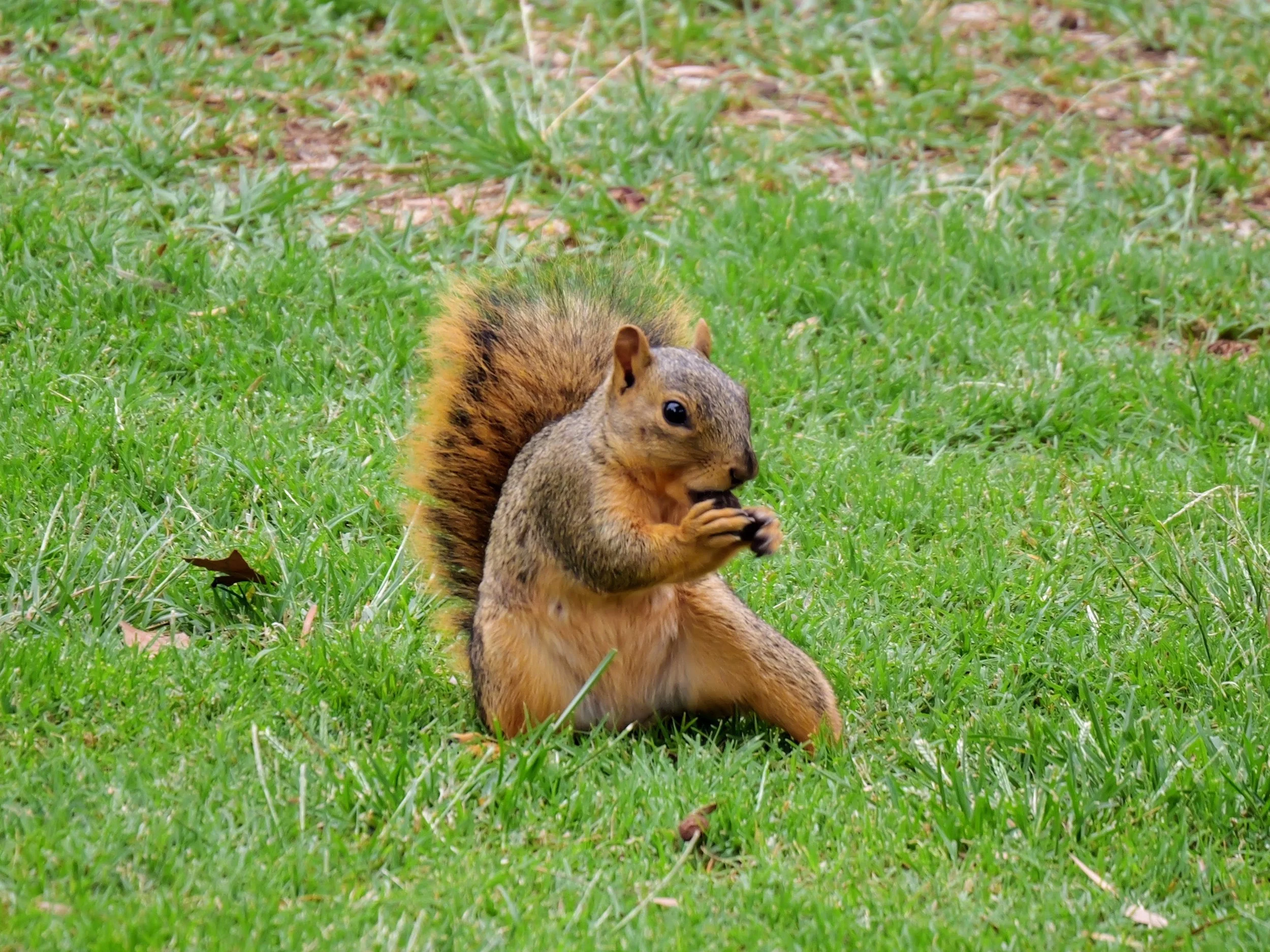 P1005769.JPG