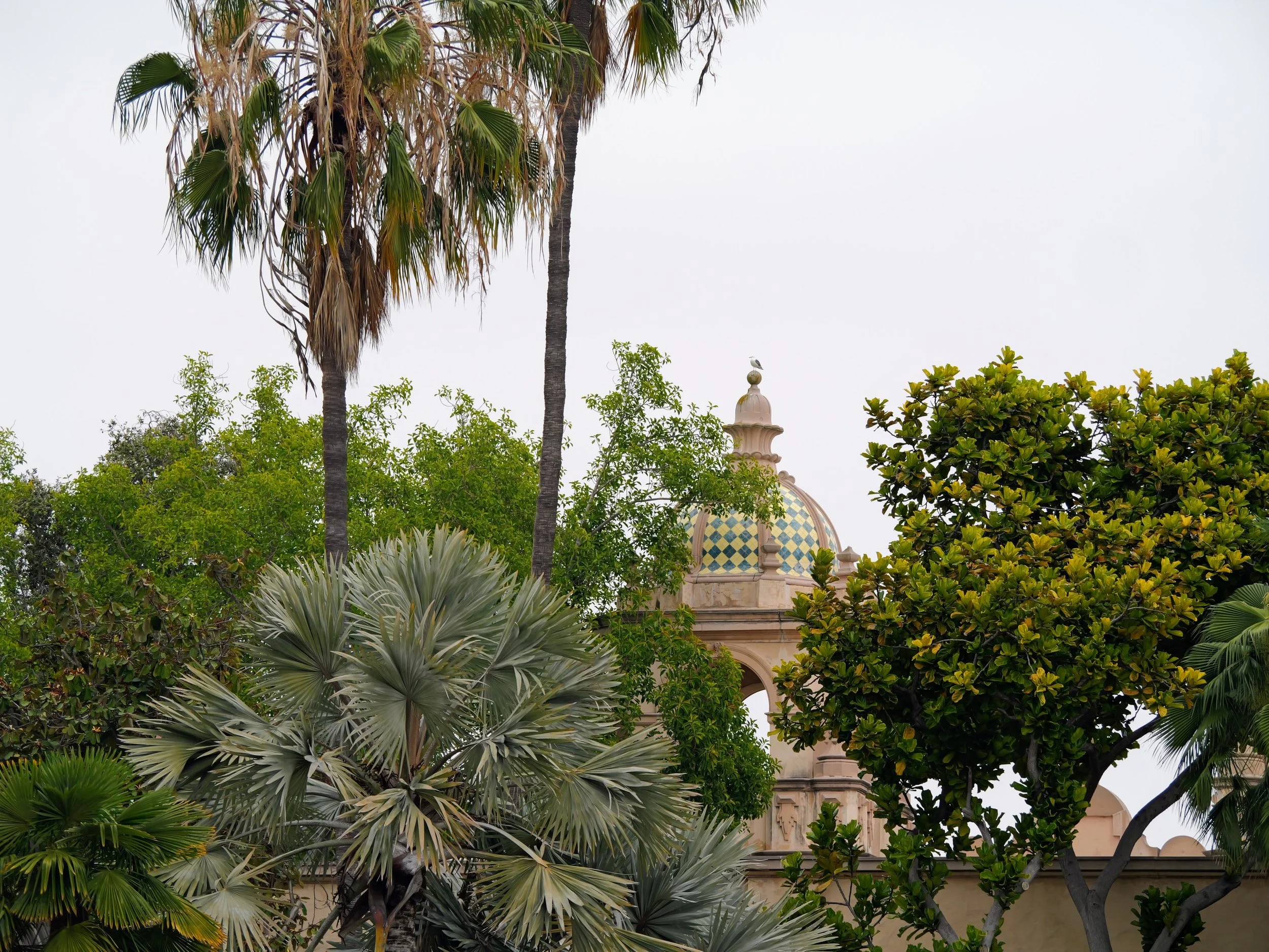 A lush garden with various trees and plants, including tall palms, in front of a building with a decorative dome and intricate architecture under an overcast sky.