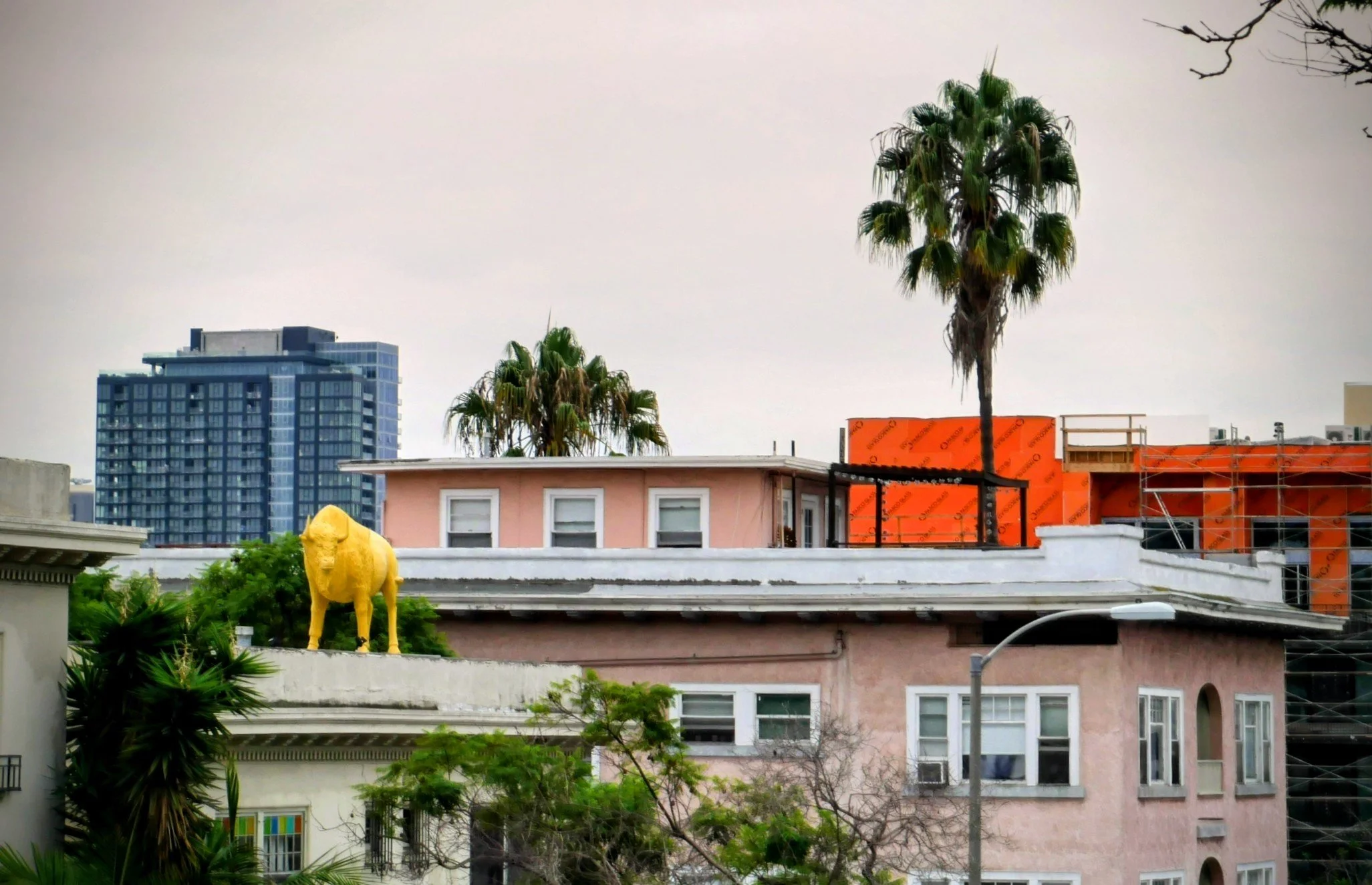 Cityscape with palm trees, a yellow lion sculpture on a rooftop, pink residential building with white trim, and a tall modern high-rise building in the background.