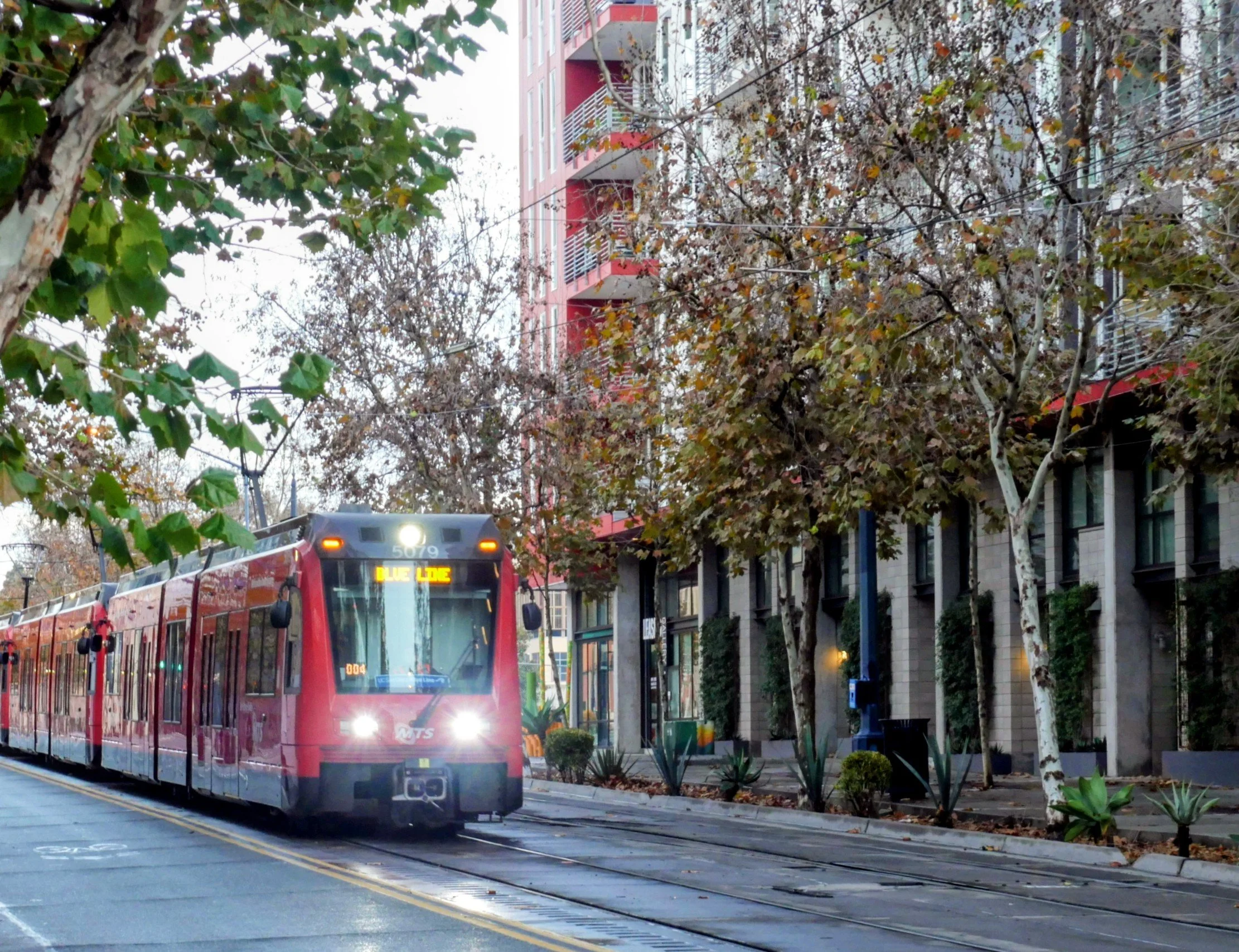 A red city tram with the number 5079 approaching on a street lined with trees with some bare branches and others with green and brown leaves. The street has yellow lines and a green trash bin on the sidewalk.