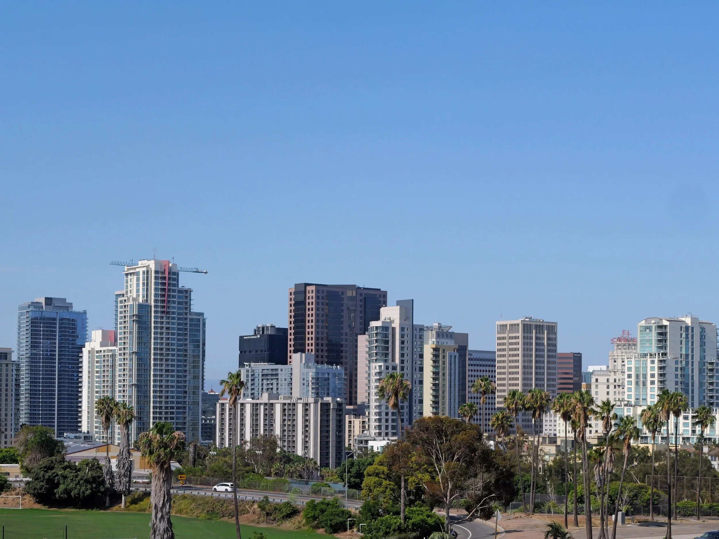 A city skyline with tall modern buildings and palm trees in the foreground, under a clear blue sky.