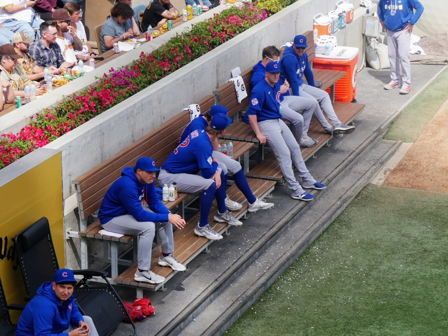 Baseball players from the Chicago Cubs sitting on benches in the dugout, some using water bottles, with fans seated in the stands behind them.