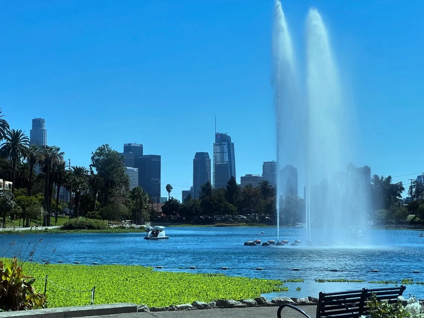 A city park with a large fountain shooting water into the air, a lake with surrounding greenery, palm trees, and skyscrapers in the background on a clear, sunny day.