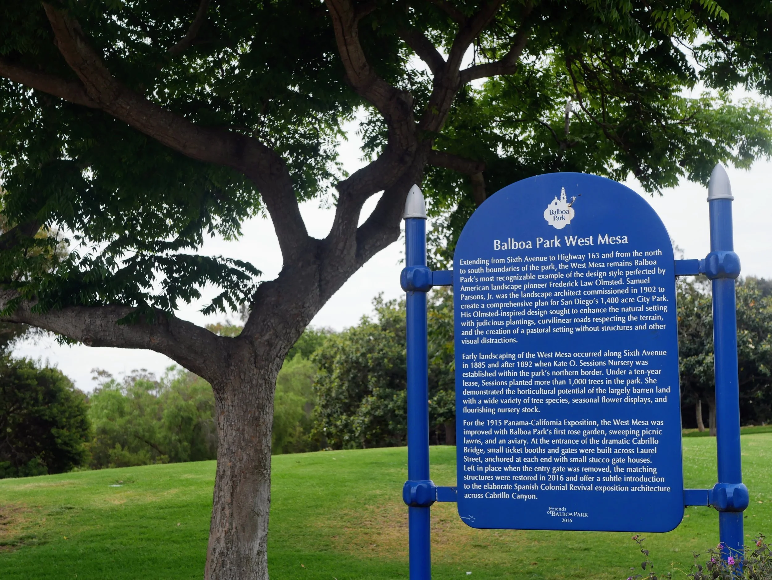 Blue informational signboard at Balboa Park West Mesa with a tree in the background and a grassy area.