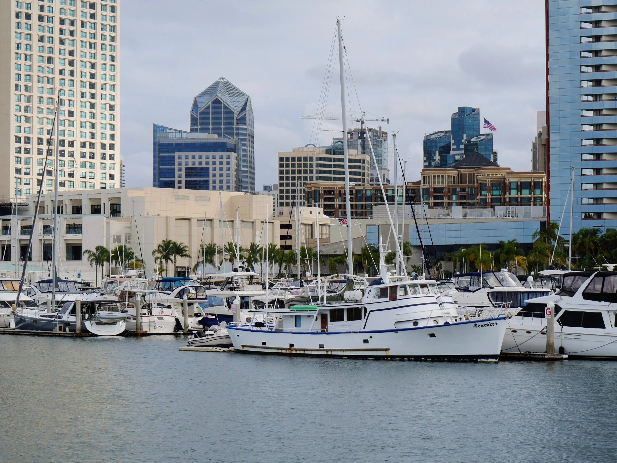 A marina with boats docked on the water in front of a city skyline with tall modern buildings