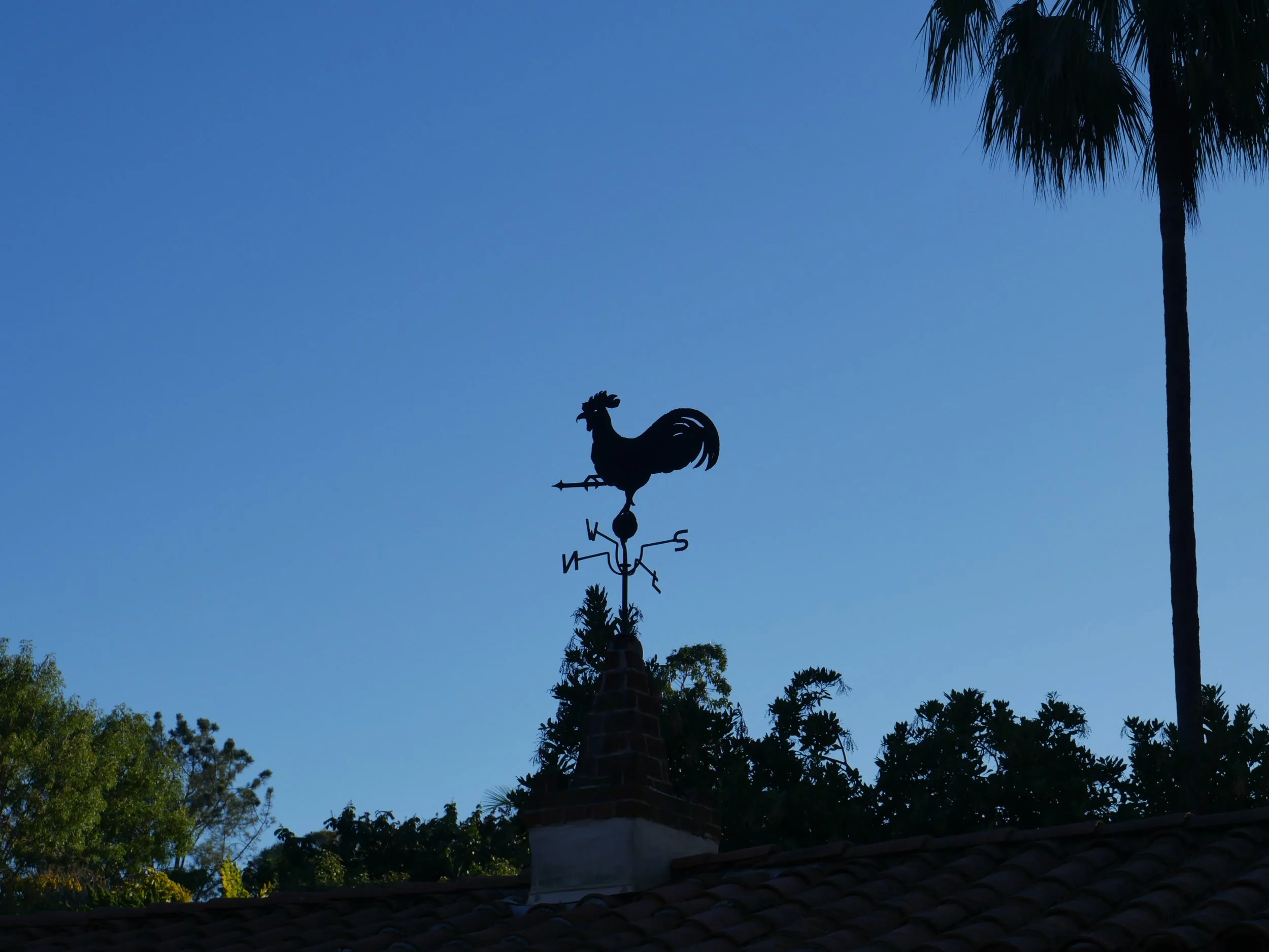 Silhouette of a weather vane with a rooster on top, set against a clear blue sky and surrounded by trees and palm trees.