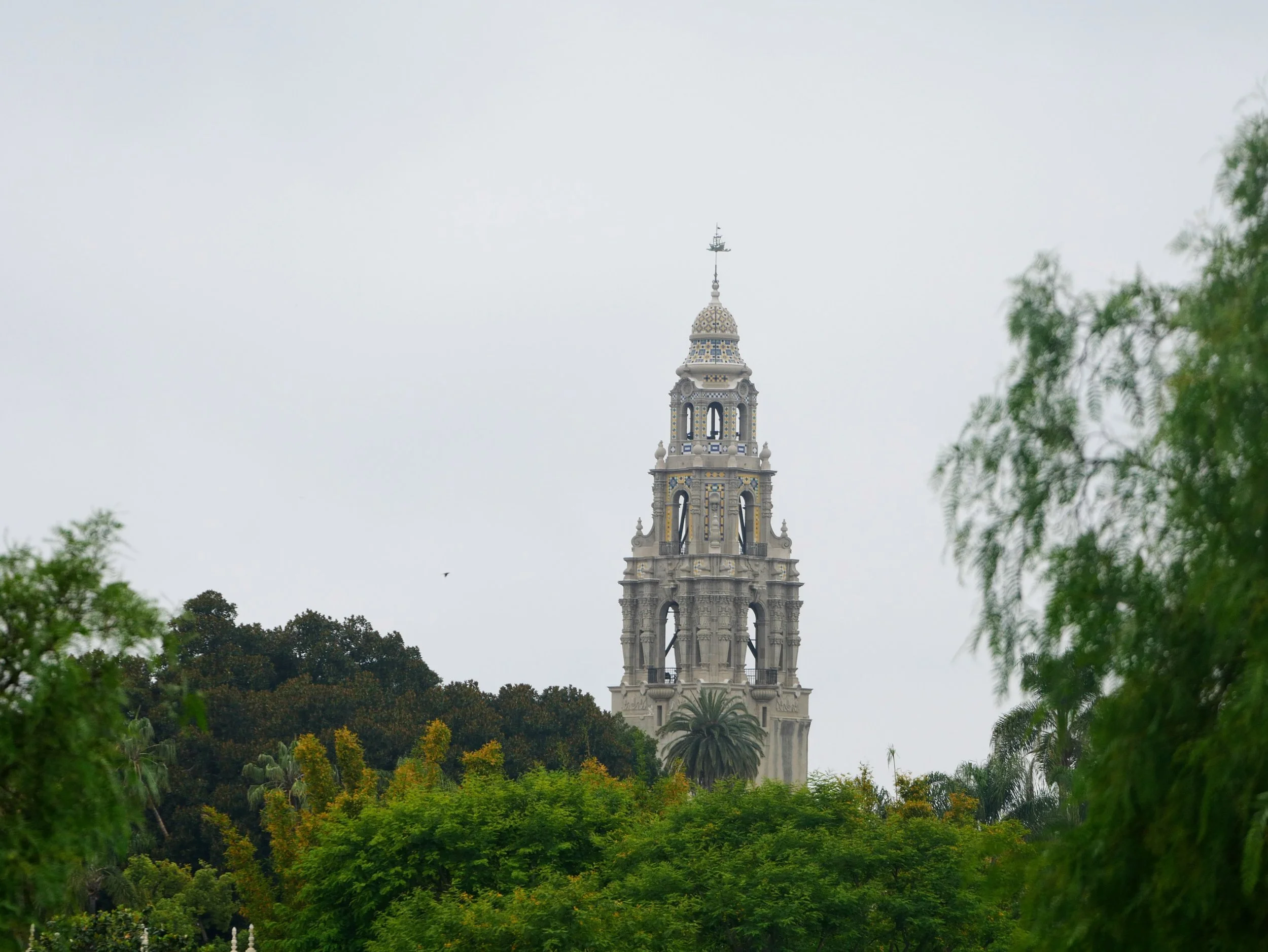 A tall, ornate clock tower visible through a dense canopy of green trees, against a hazy, overcast sky.