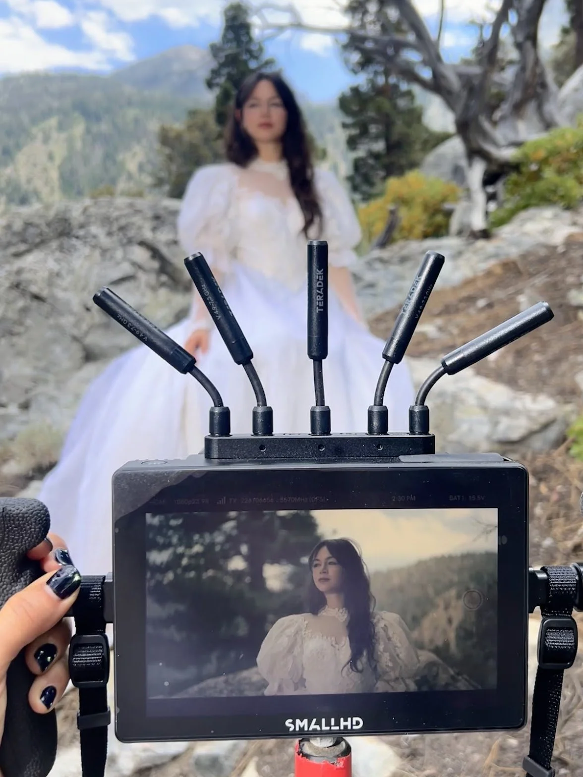 Always Crying Always In Love, BTS