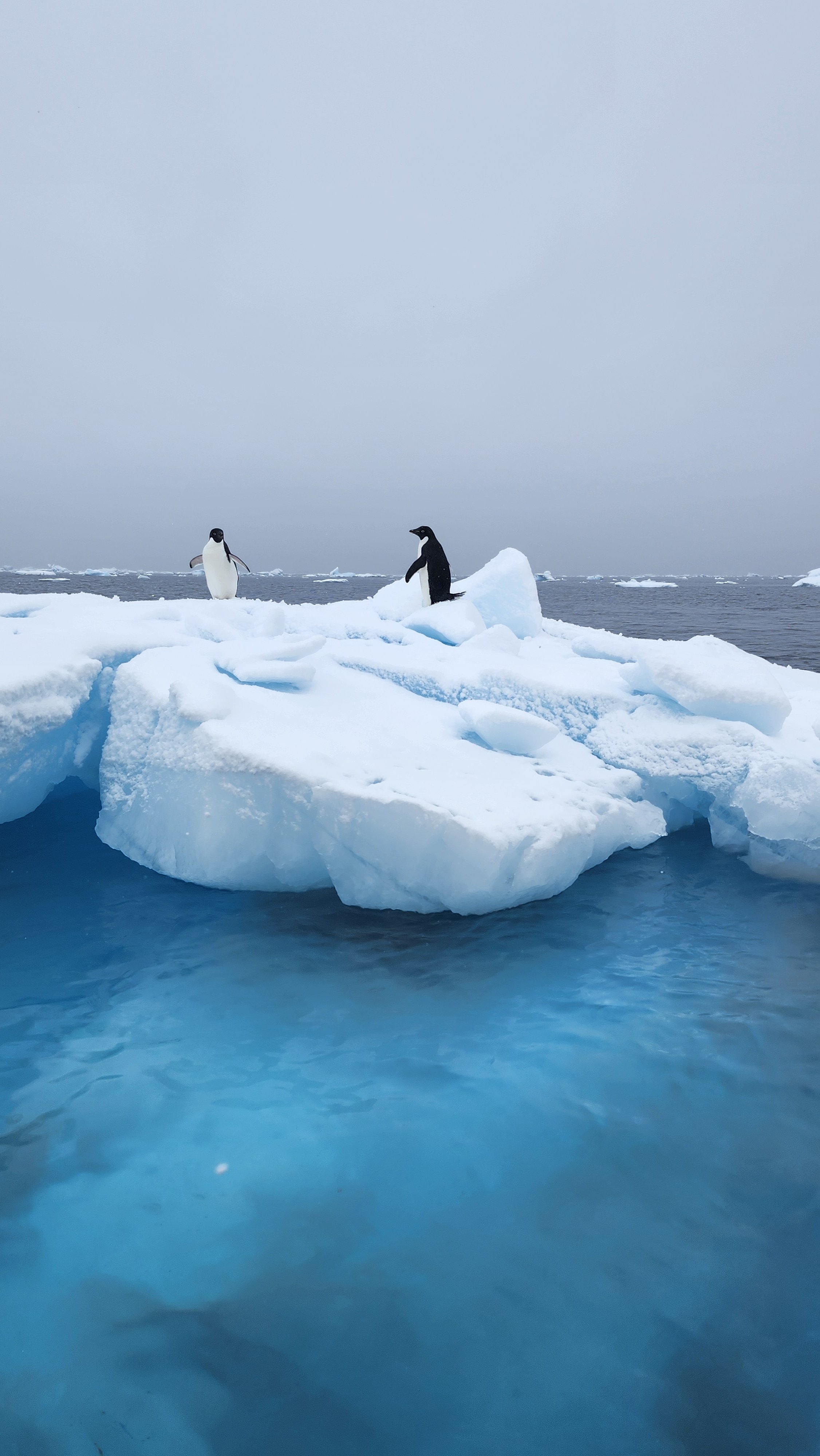 A life changing Expedition