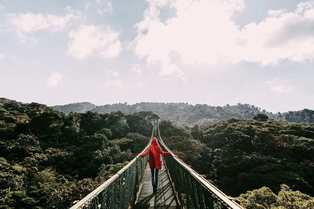 Senda Monteverde 1.jpg