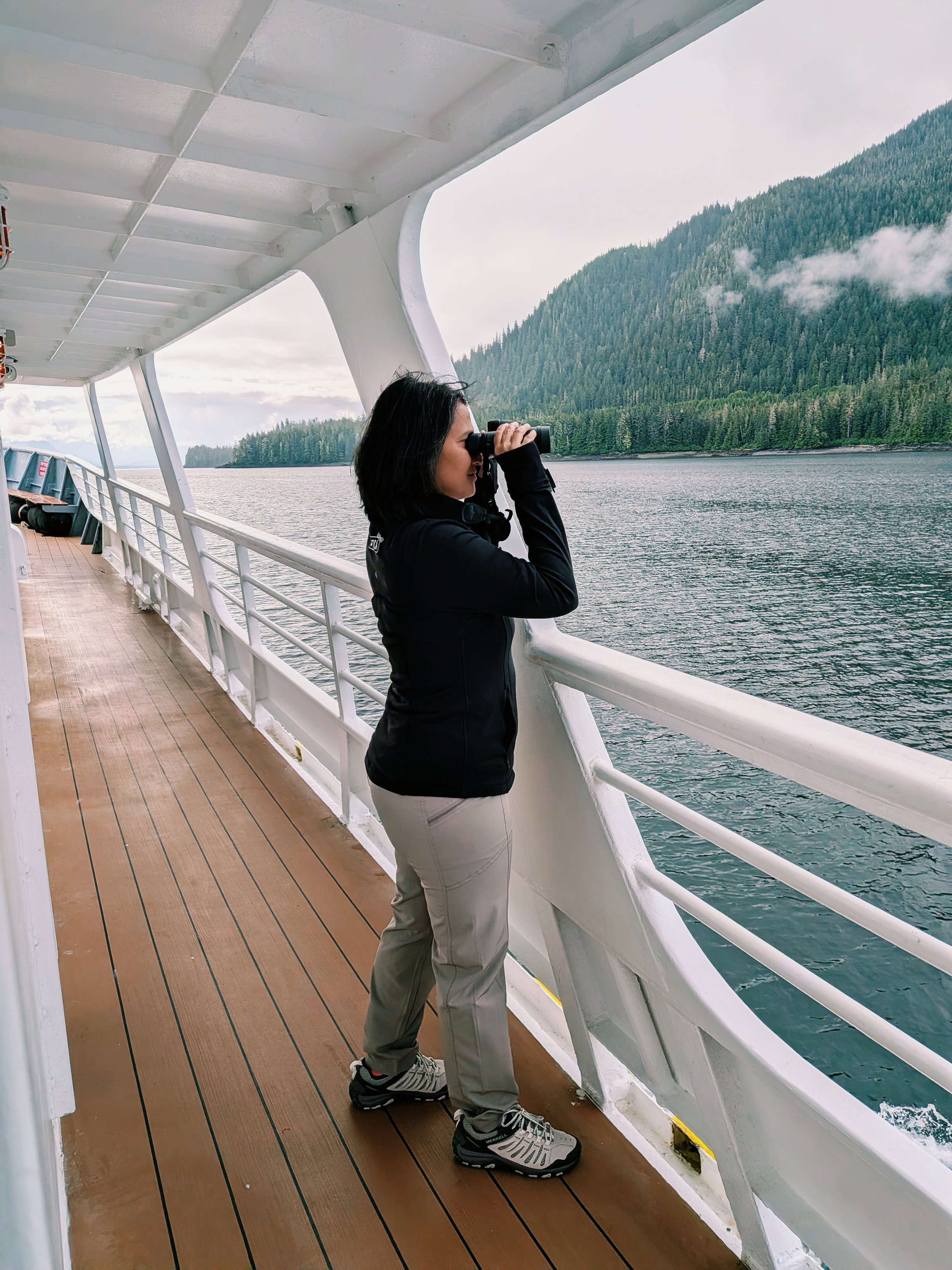 Wildlife watching aboard National Geographic Sea Lion