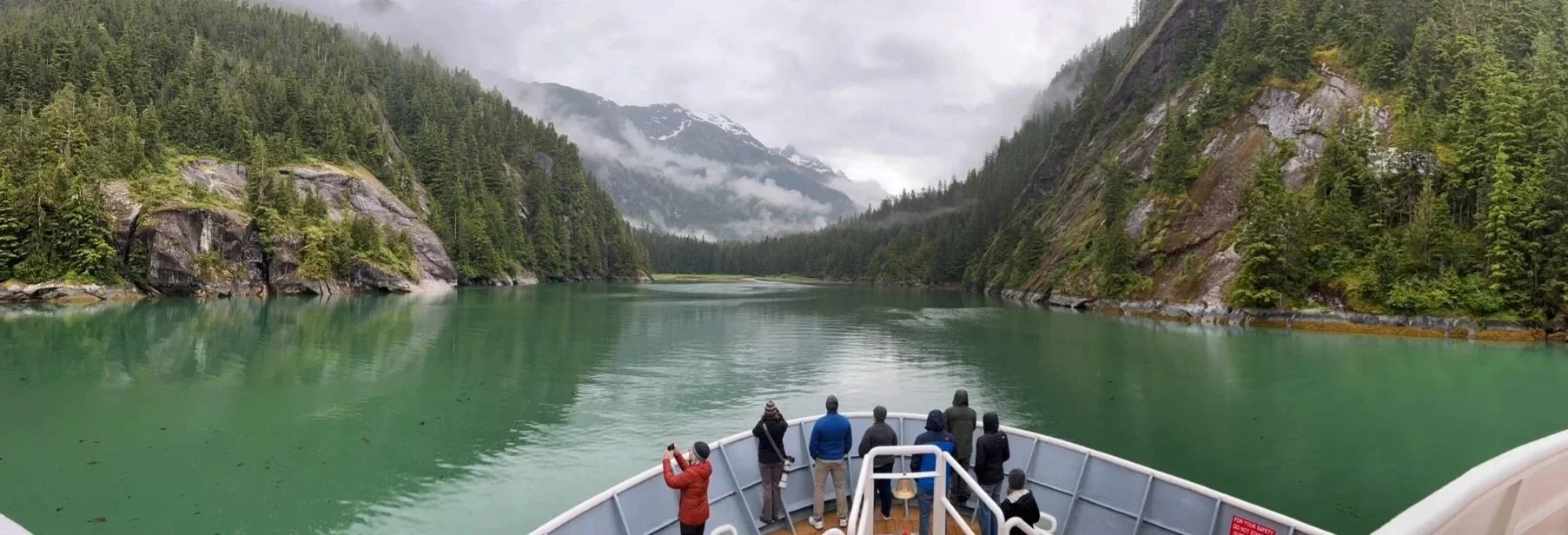 Alaska Expedition Cruises Compared: UnCruise vs Lindblad vs HX vs Seabourn