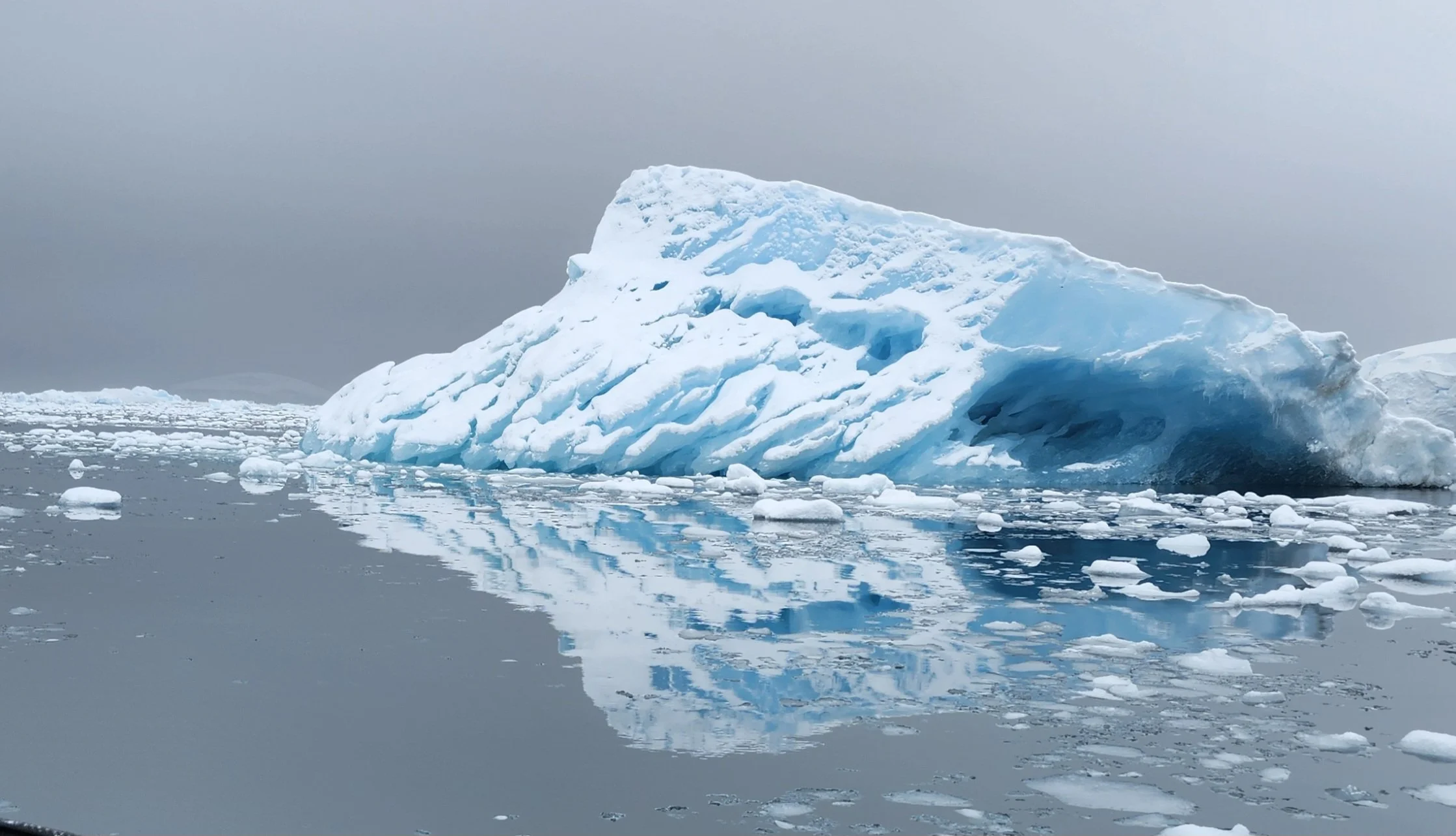 When Should You Visit Antarctica?