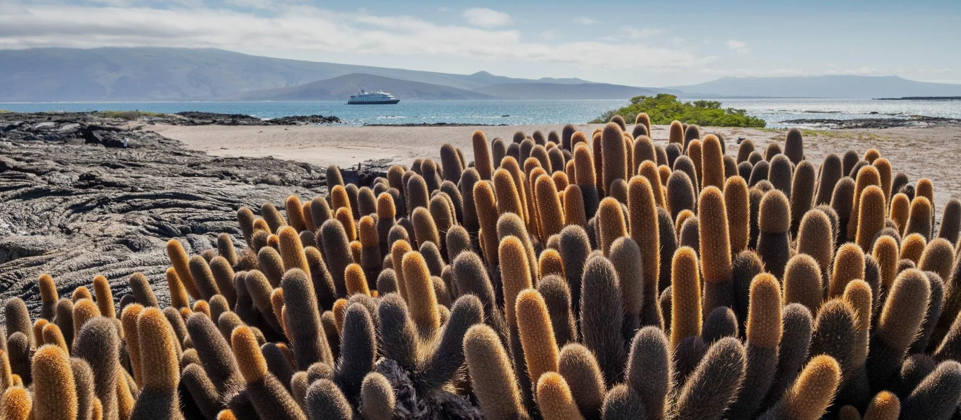 Small luxury expedition in the background cruising the Galápagos Islands