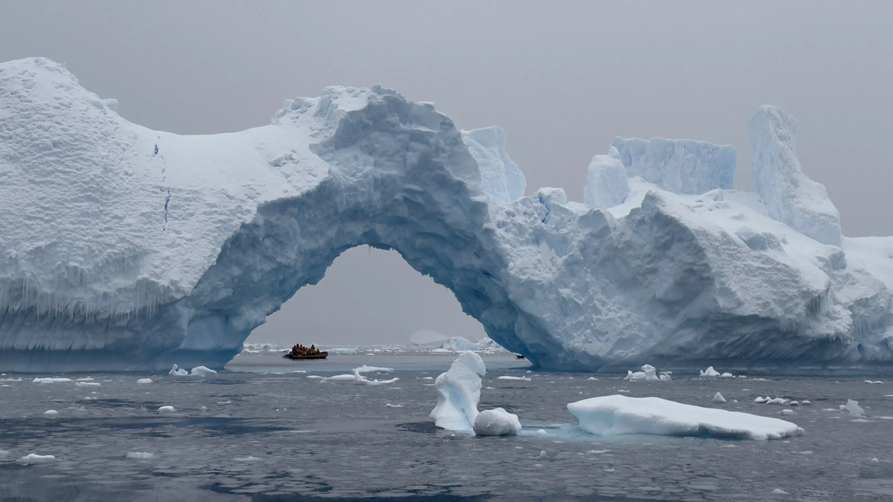 The zodiac being dwarfed by massive glaciers in Antarctica