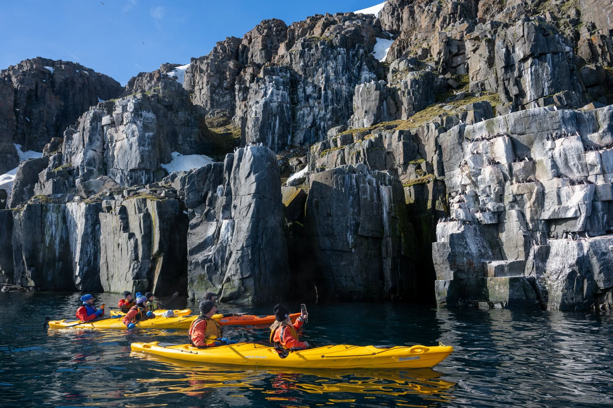 Explorers in the Arctic admiring puffins on rocks