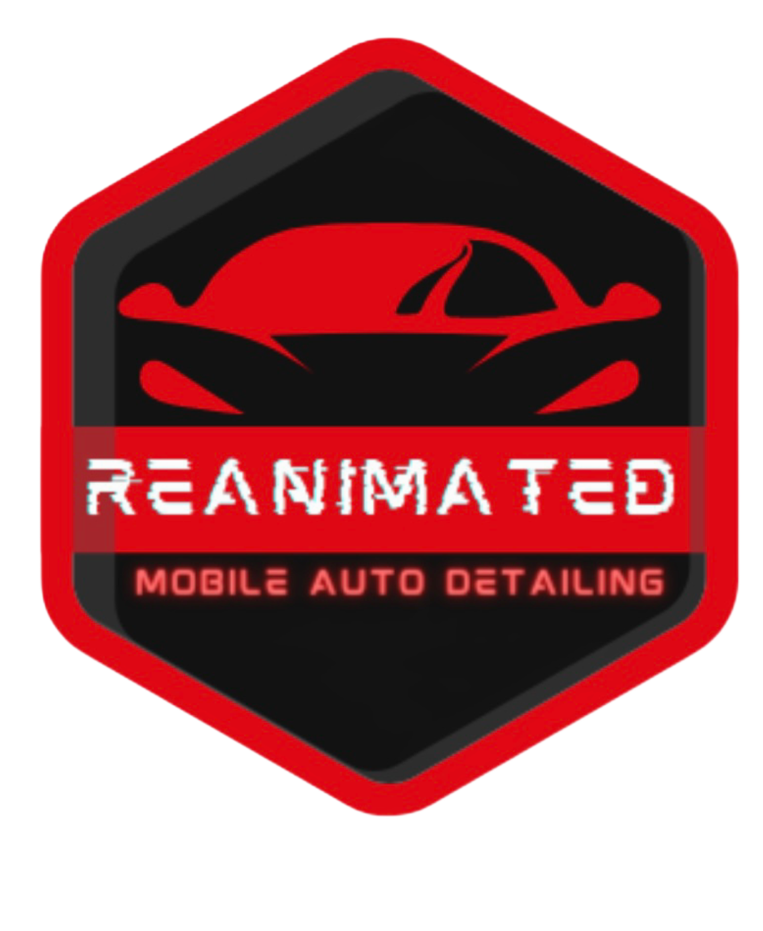 Reanimated Detailing