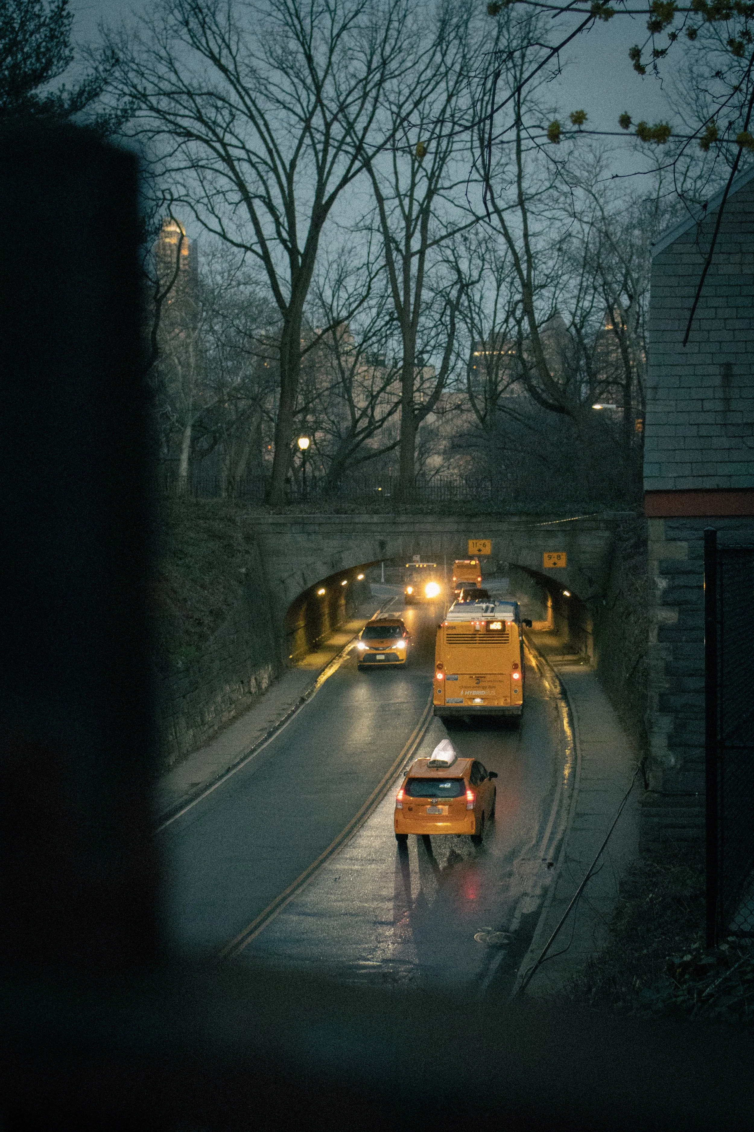 Midterm Intro to Photography 7.jpeg