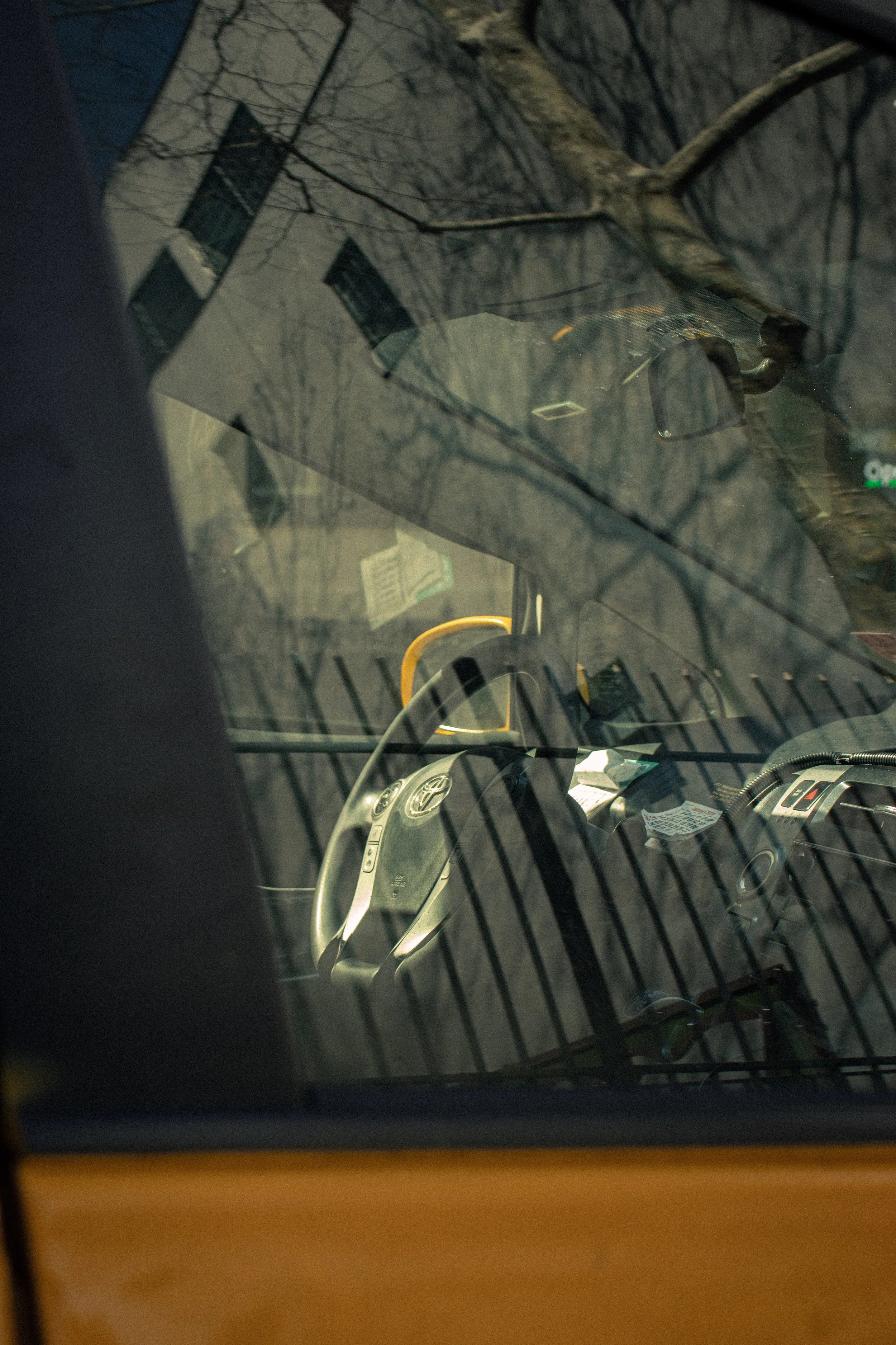 Midterm Intro to Photography 6.jpeg