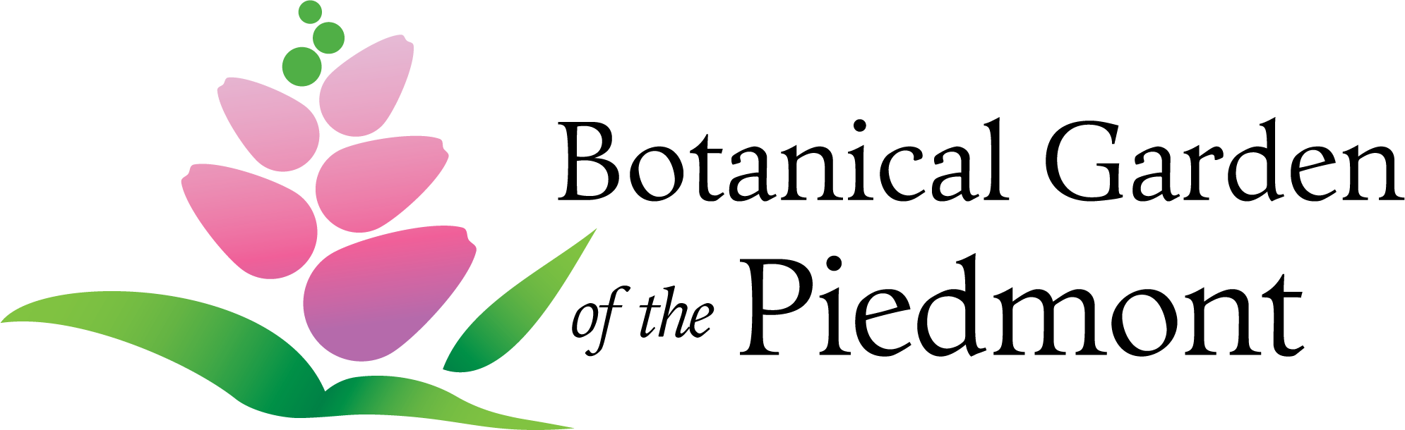 BGP_Horizontal-logo-2.png