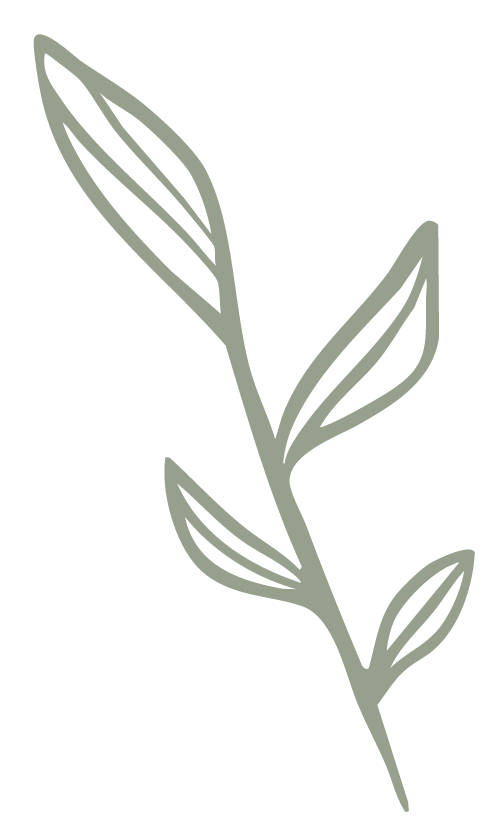 Minimalist gray outline of a plant with three leaves on a black background.