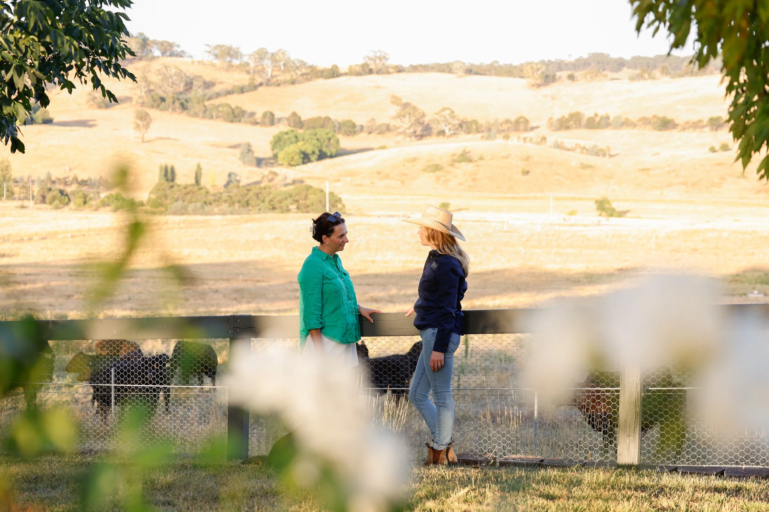 Two women having a conversation outdoors near a fence, with a hilly landscape in the background and cows grazing behind the fence.
