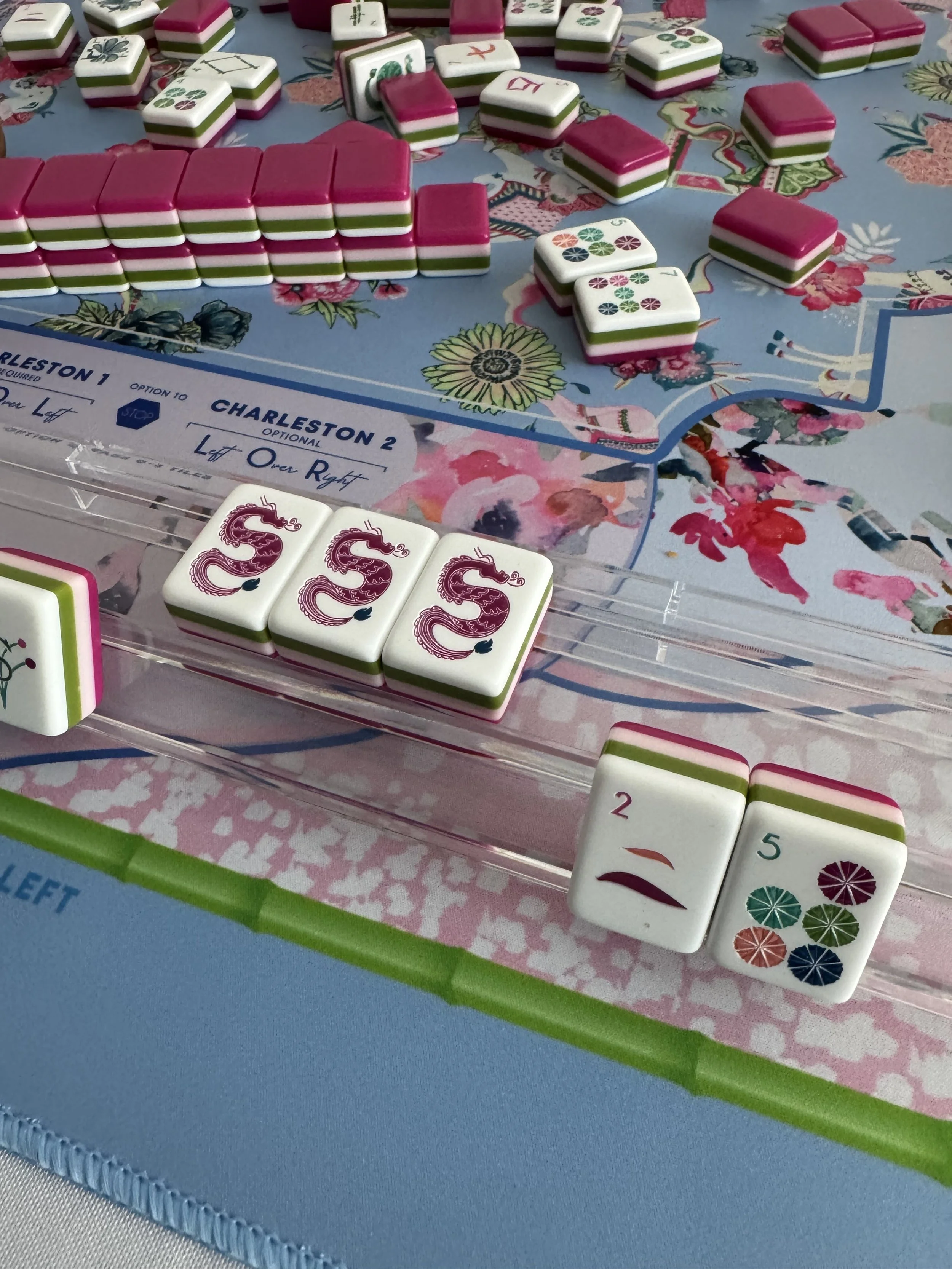 Beginner Mahjong Education