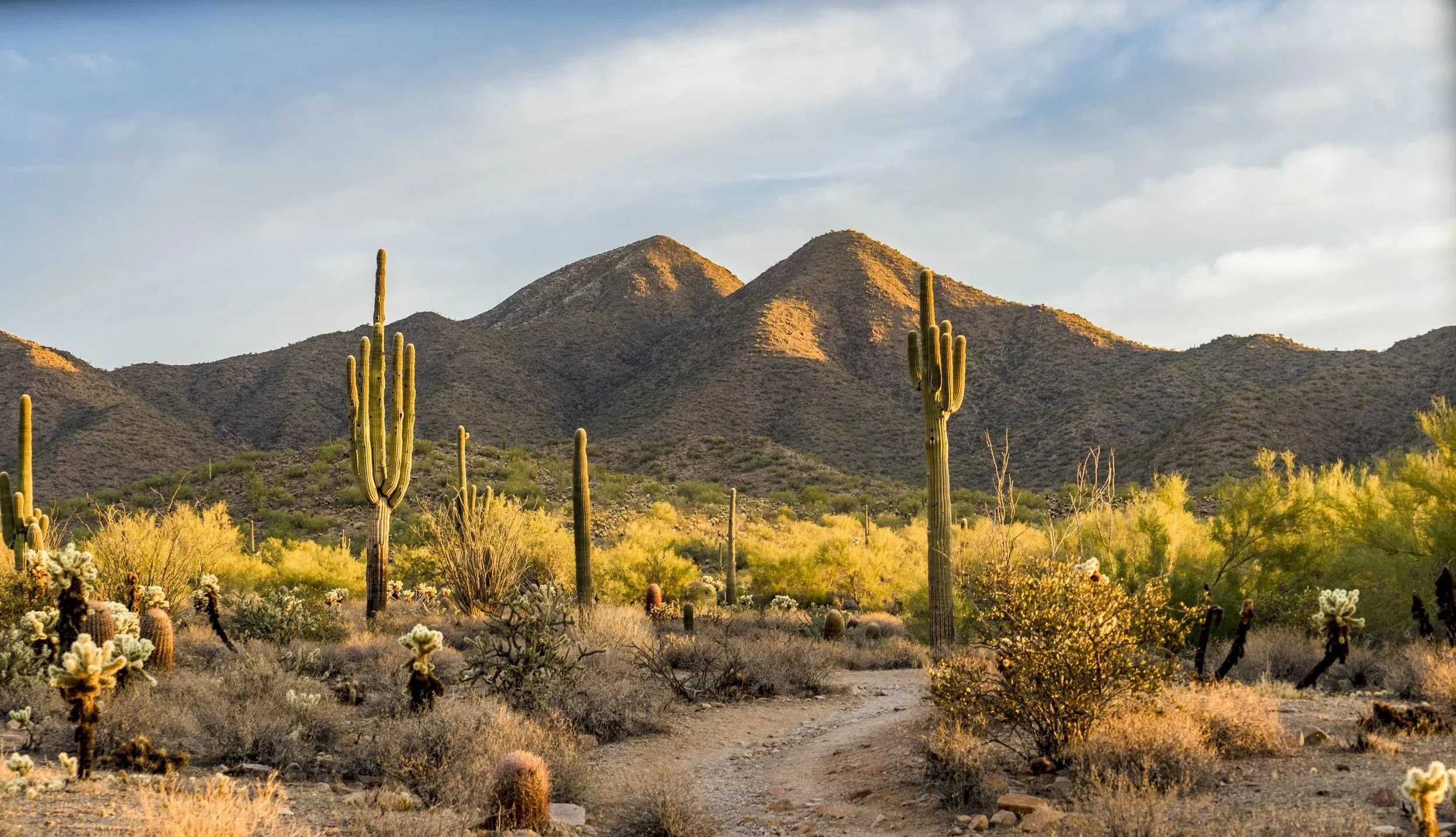Desert landscape with saguaro cacti, bushes, and mountains in the background, under a partly cloudy sky.