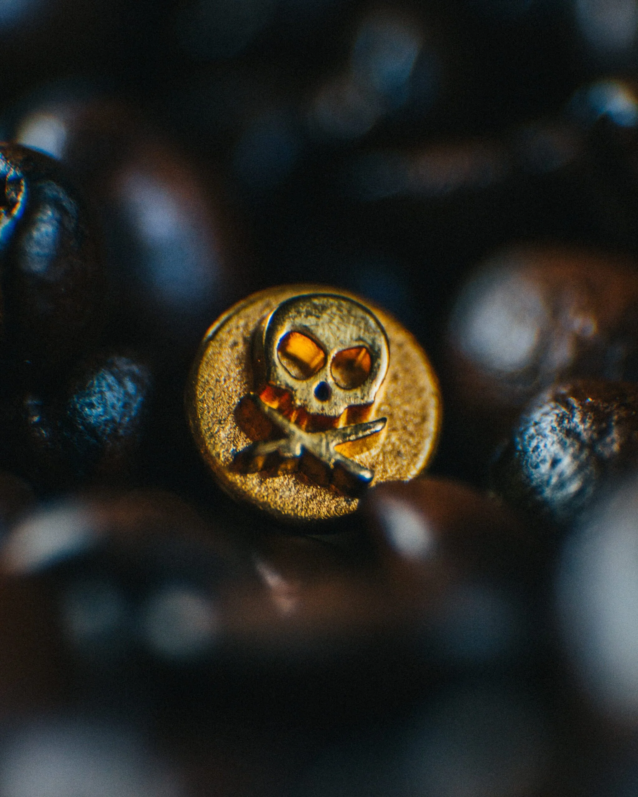 A close-up of a small skull-shaped button with crossed bones, surrounded by dark coffee beans.