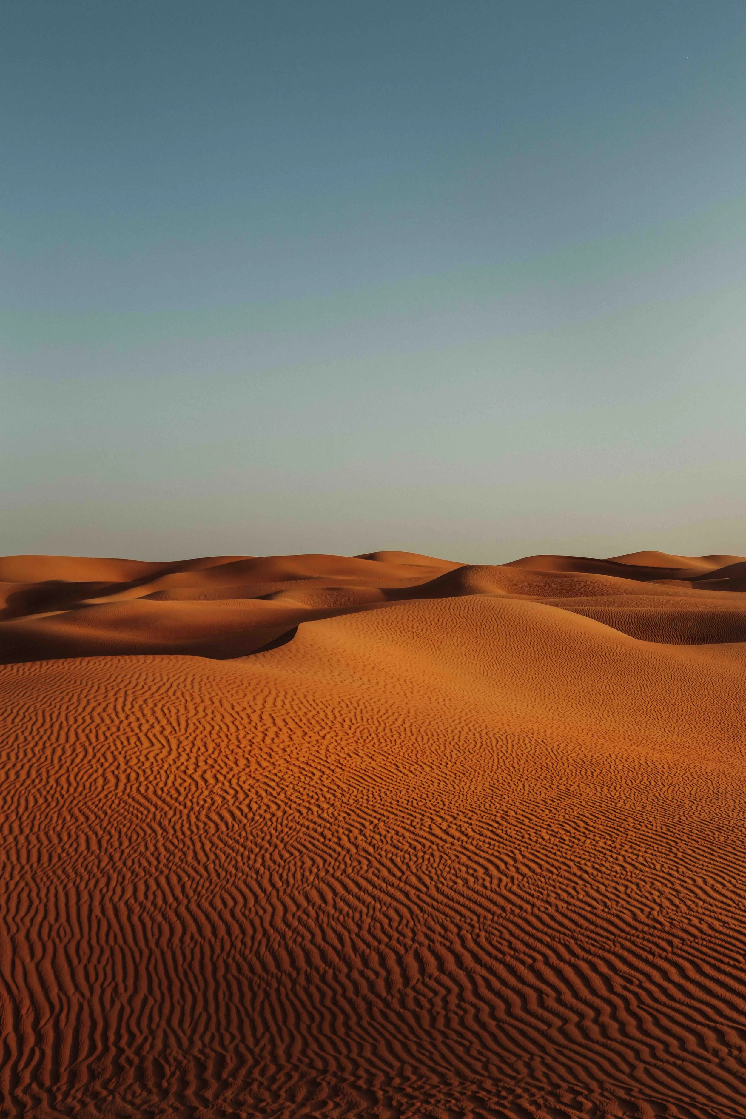 A desert landscape with sand dunes and clear blue sky.