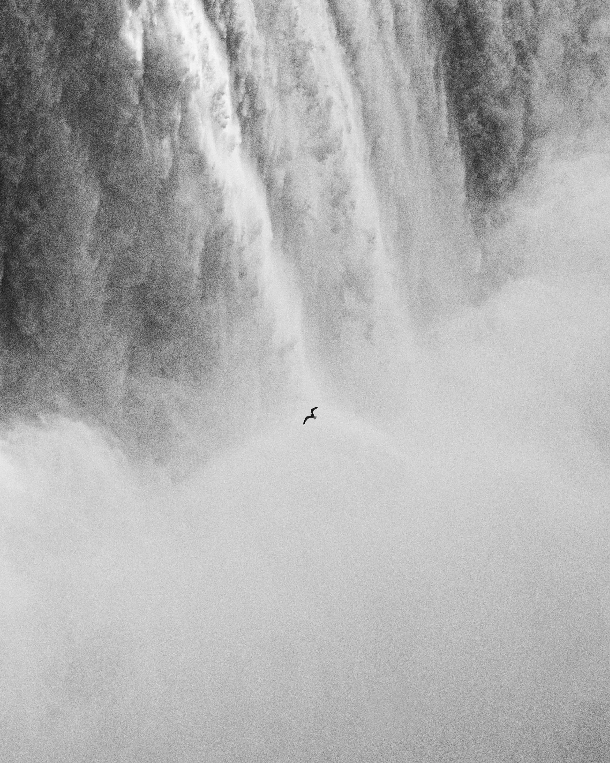 A black and white photograph of a waterfall with mist and a single bird flying.