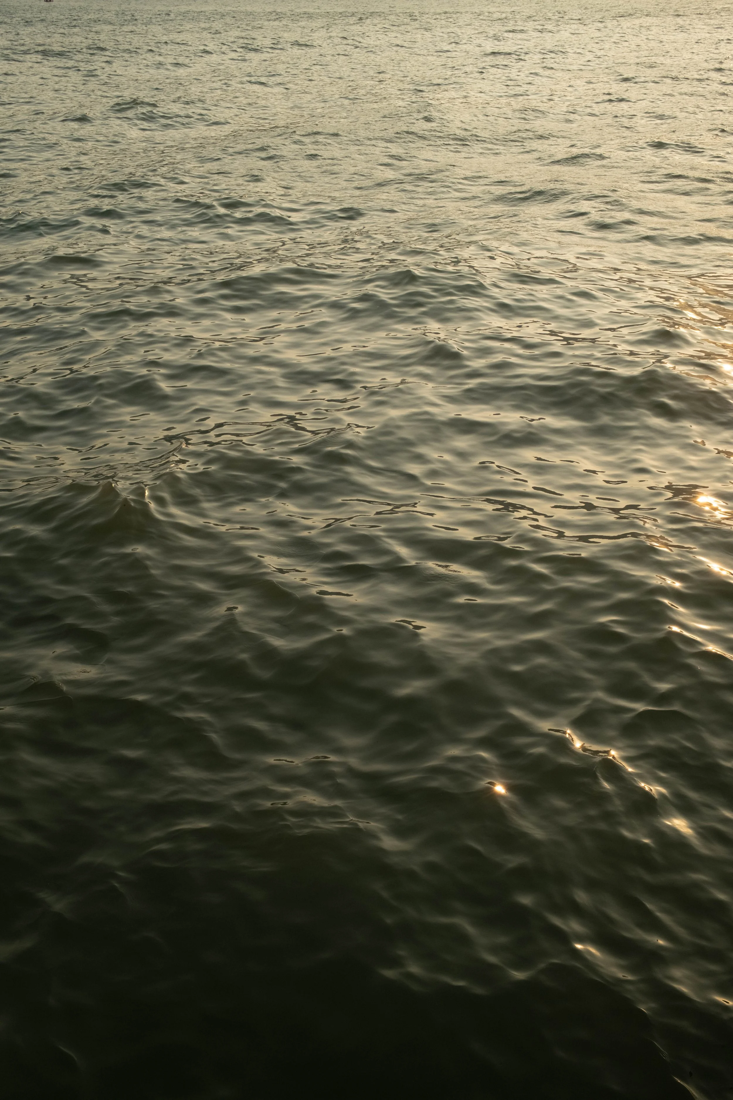 Calm ocean water during sunset with gentle ripples and sunlight reflecting on the surface.