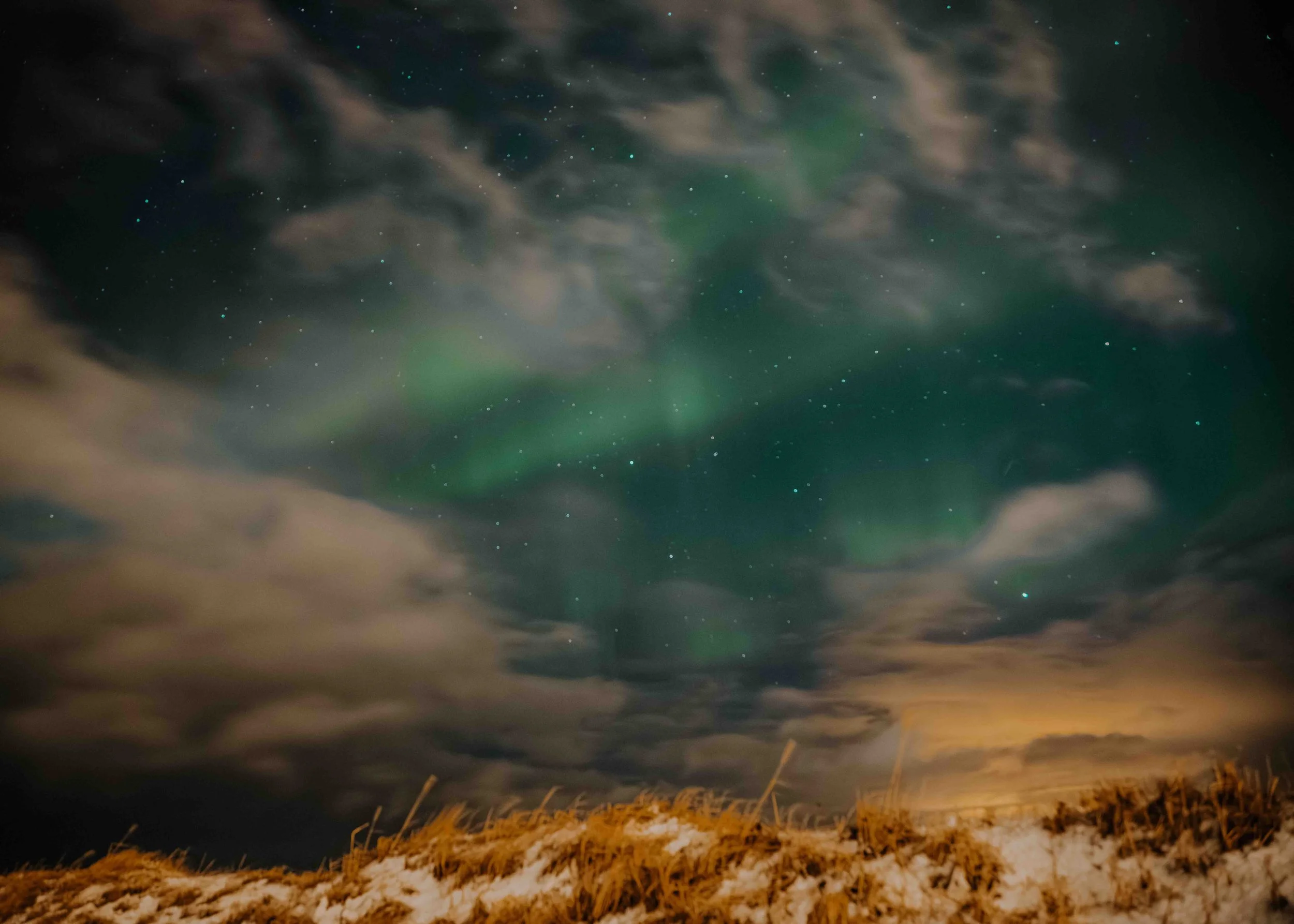 Night sky with stars and drifting clouds, displaying the northern lights, over a snow-covered landscape with tall dry grass.
