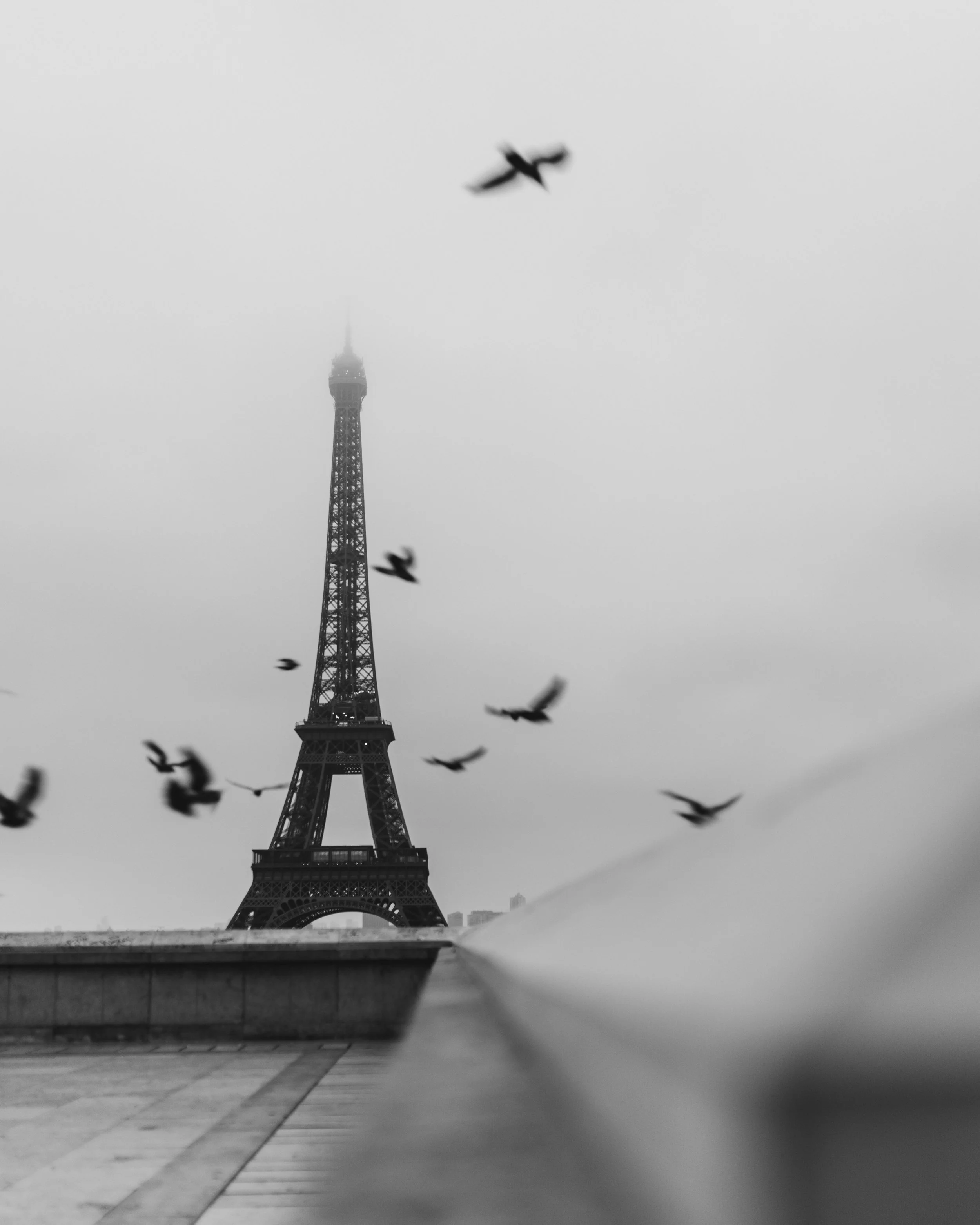Black and white photo of the Eiffel Tower with birds flying in the sky above it.