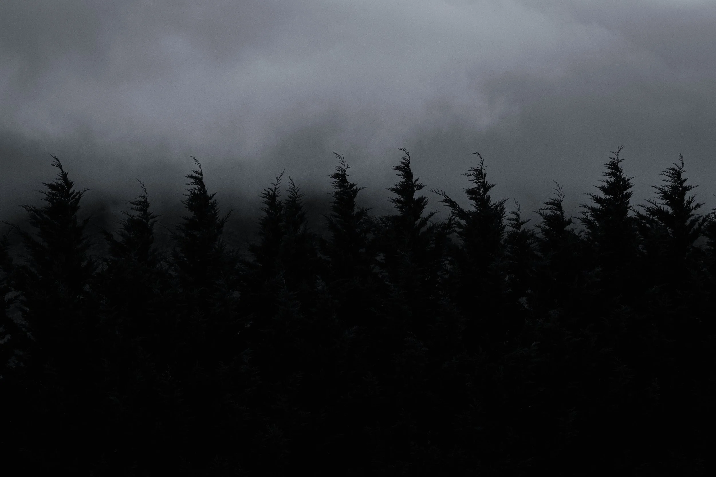 _R5C6137-2.jpg