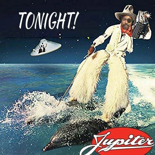 unk-on dolphins.jpg