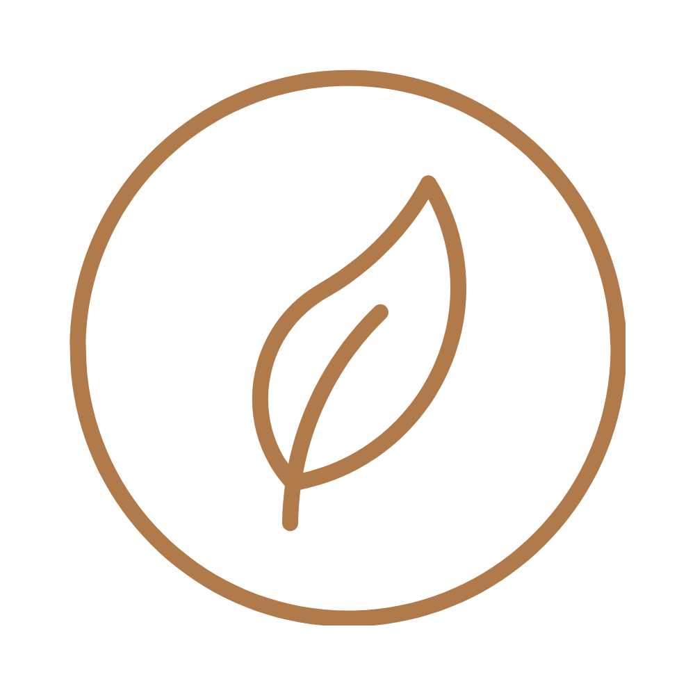 Brown outlined leaf icon inside a brown circle on a black background.