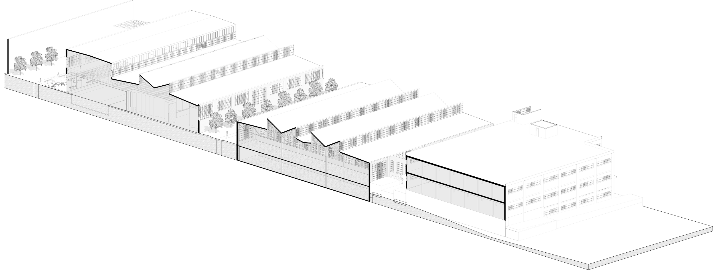 perspective section.png