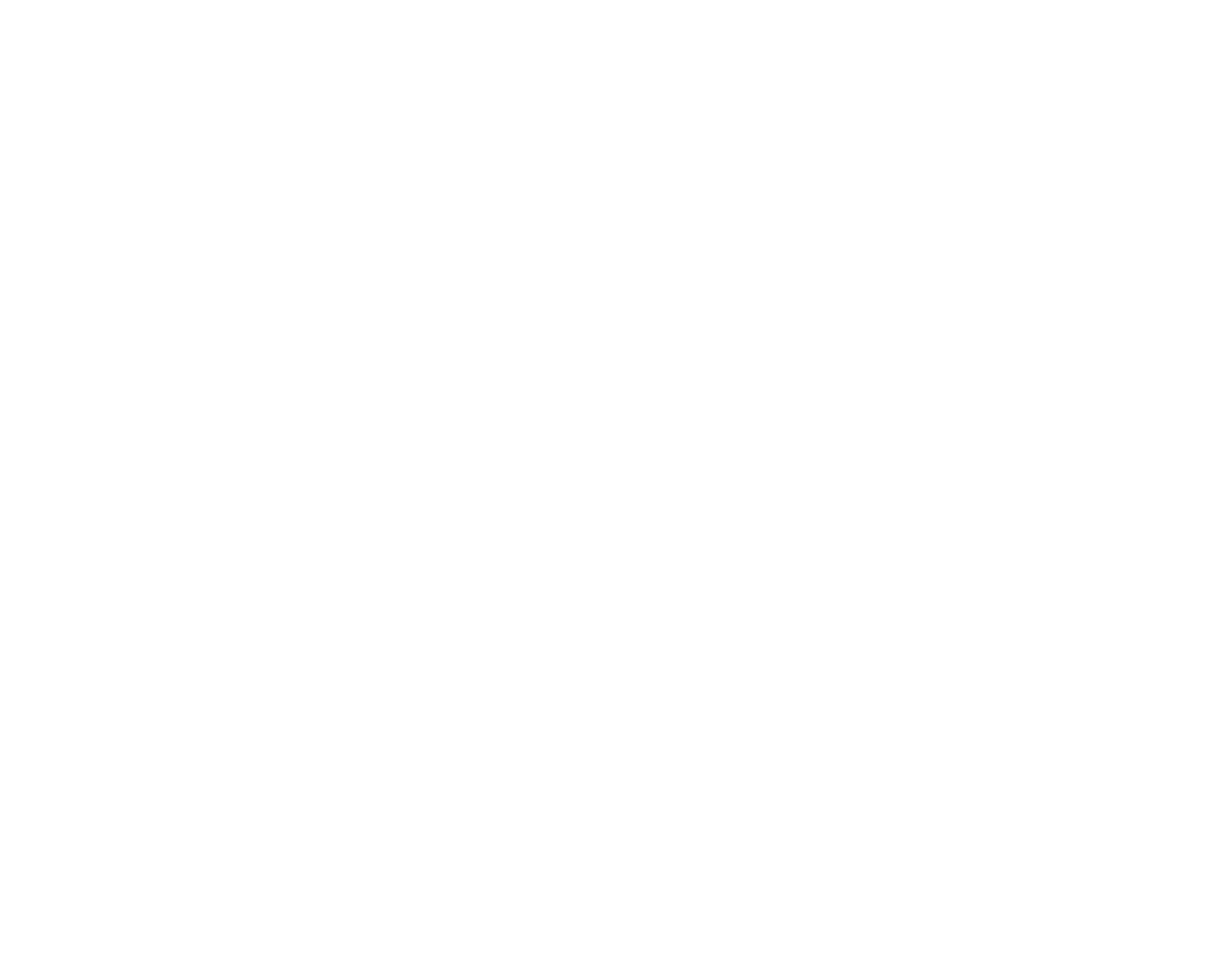 PARTNER: CAPTURE THE WORLD