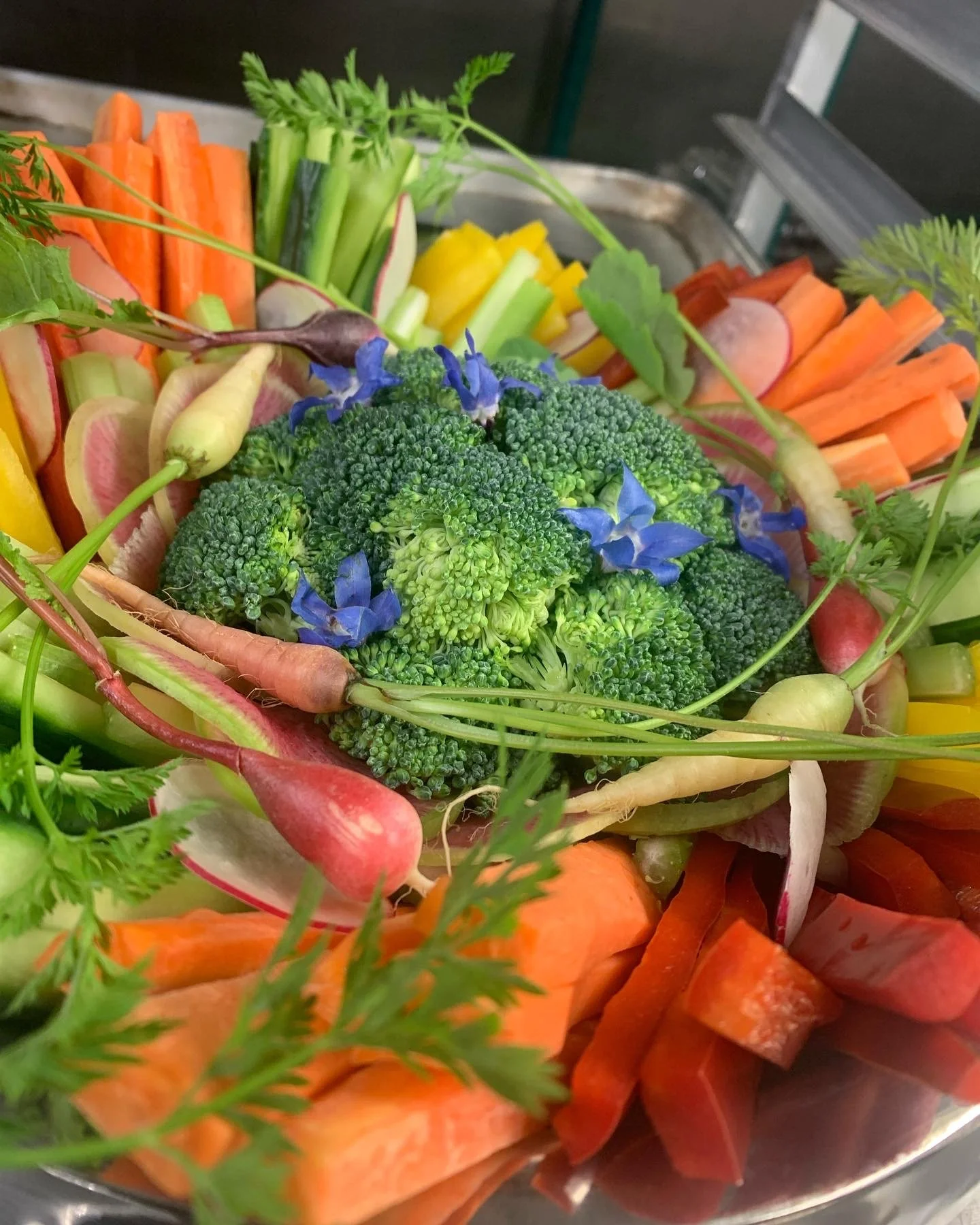 Colorful assortment of fresh vegetables including broccoli, carrots, radishes, cucumber, and celery.