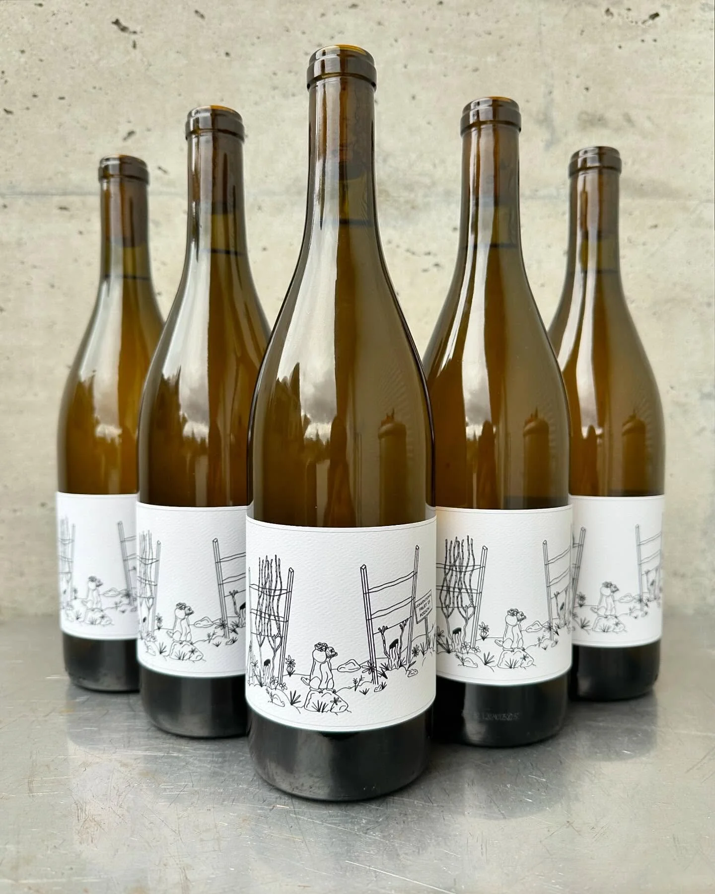 2023 JUNO BLOCK CHARDONNAY

Organic Chardonnay grapes from @juno_block 

Direct pressed. Fermented and aged on lees in neutral barrels for 12 months.

NOTHING ADDED / NOTHING REMOVED

Due to the abnormal cold temperatures in January 2024. There were 