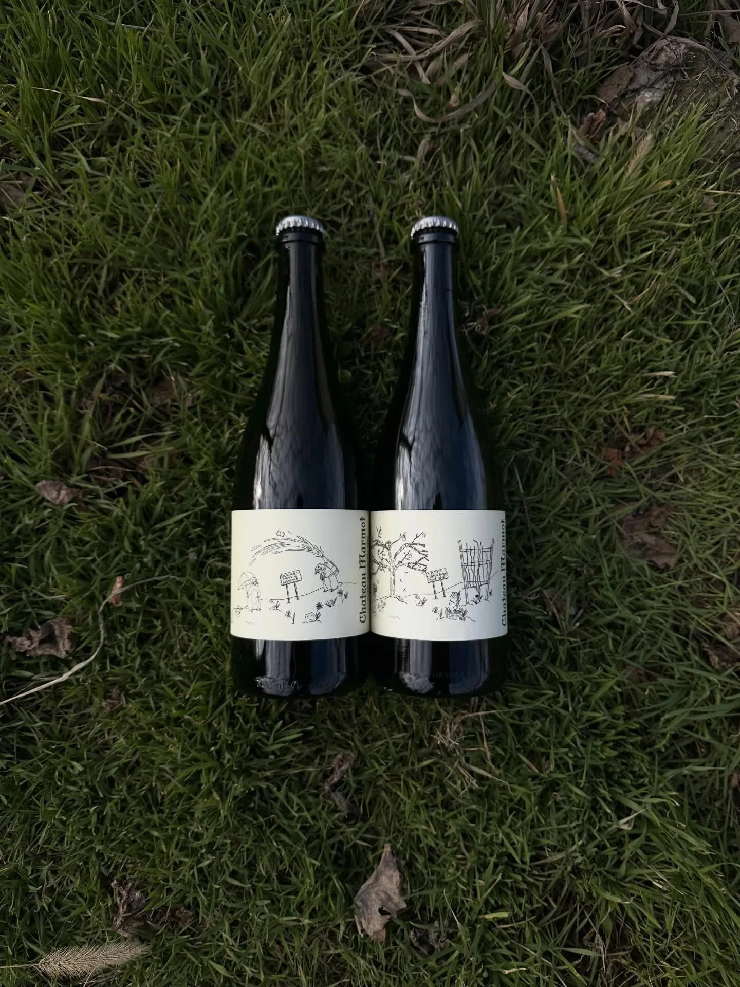 New bubbles new look new name 👀

2025 Chardonnay p&egrave;t-nat

2020 Cider/Wine p&egrave;t-nat

Find details on website