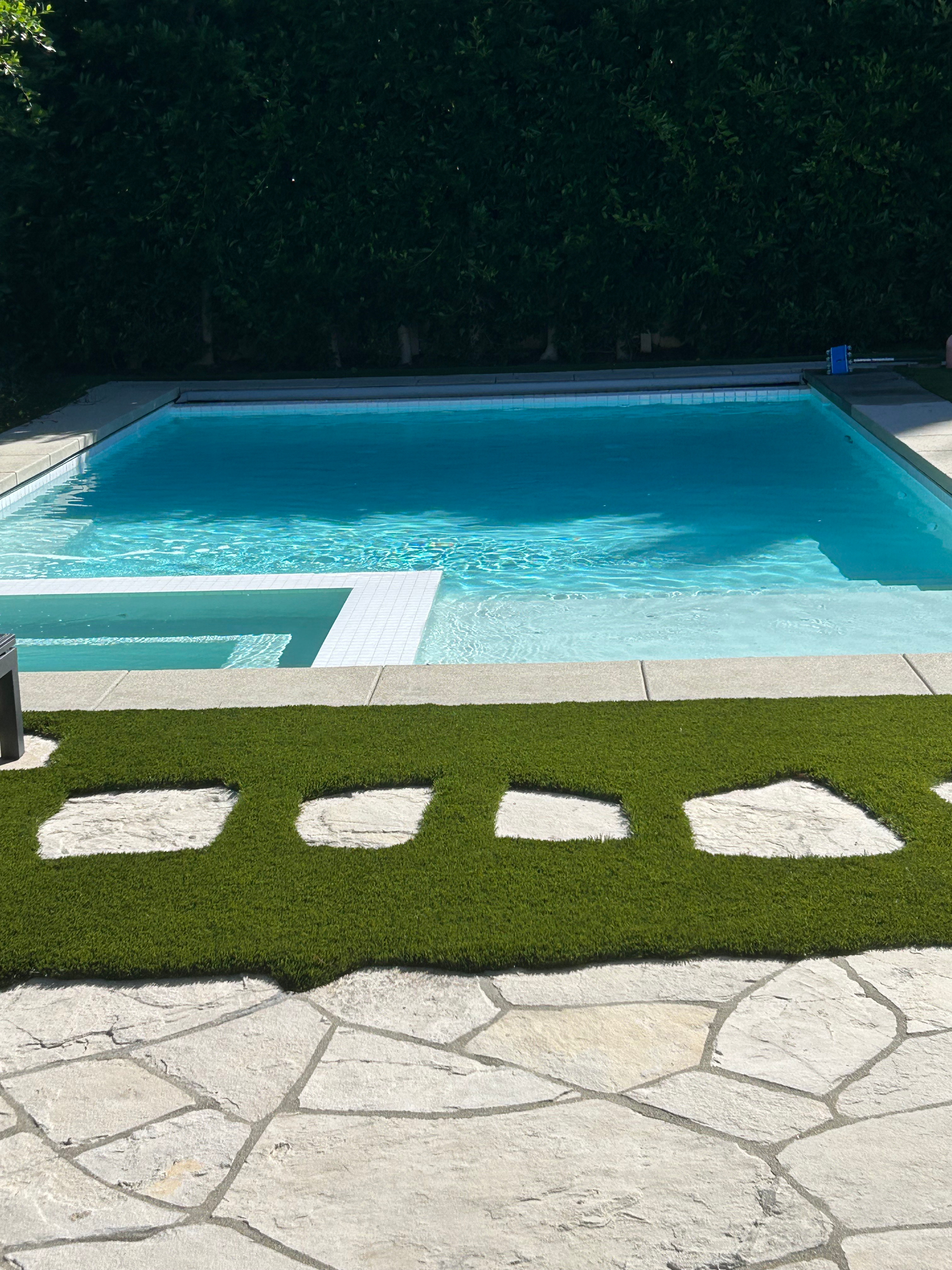 Swimming pool with clear water, surrounded by concrete and grass with stepping stones, and a dense green hedge in the background.