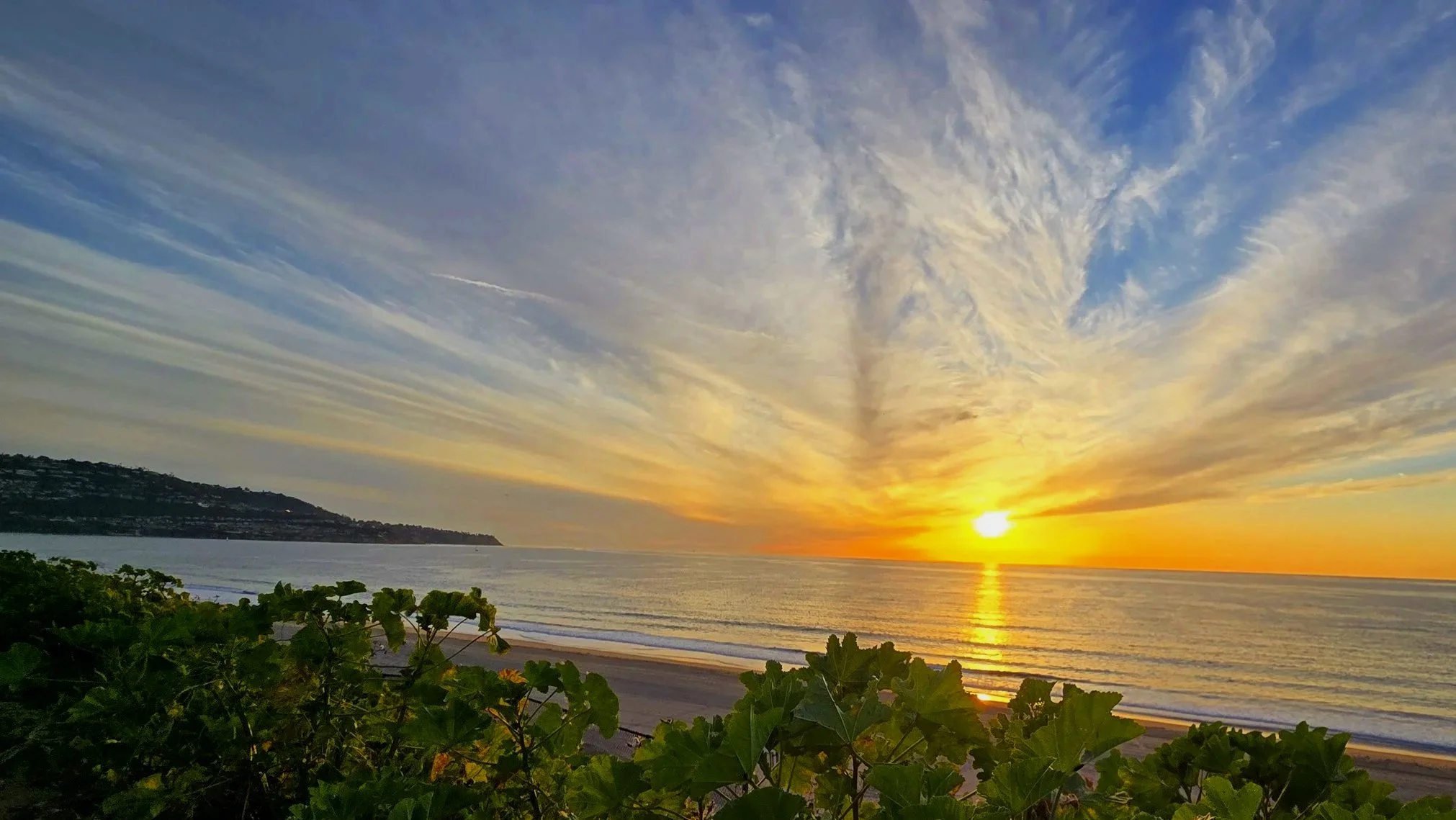 Sunset over the ocean with colorful clouds in the sky and green foliage in the foreground.