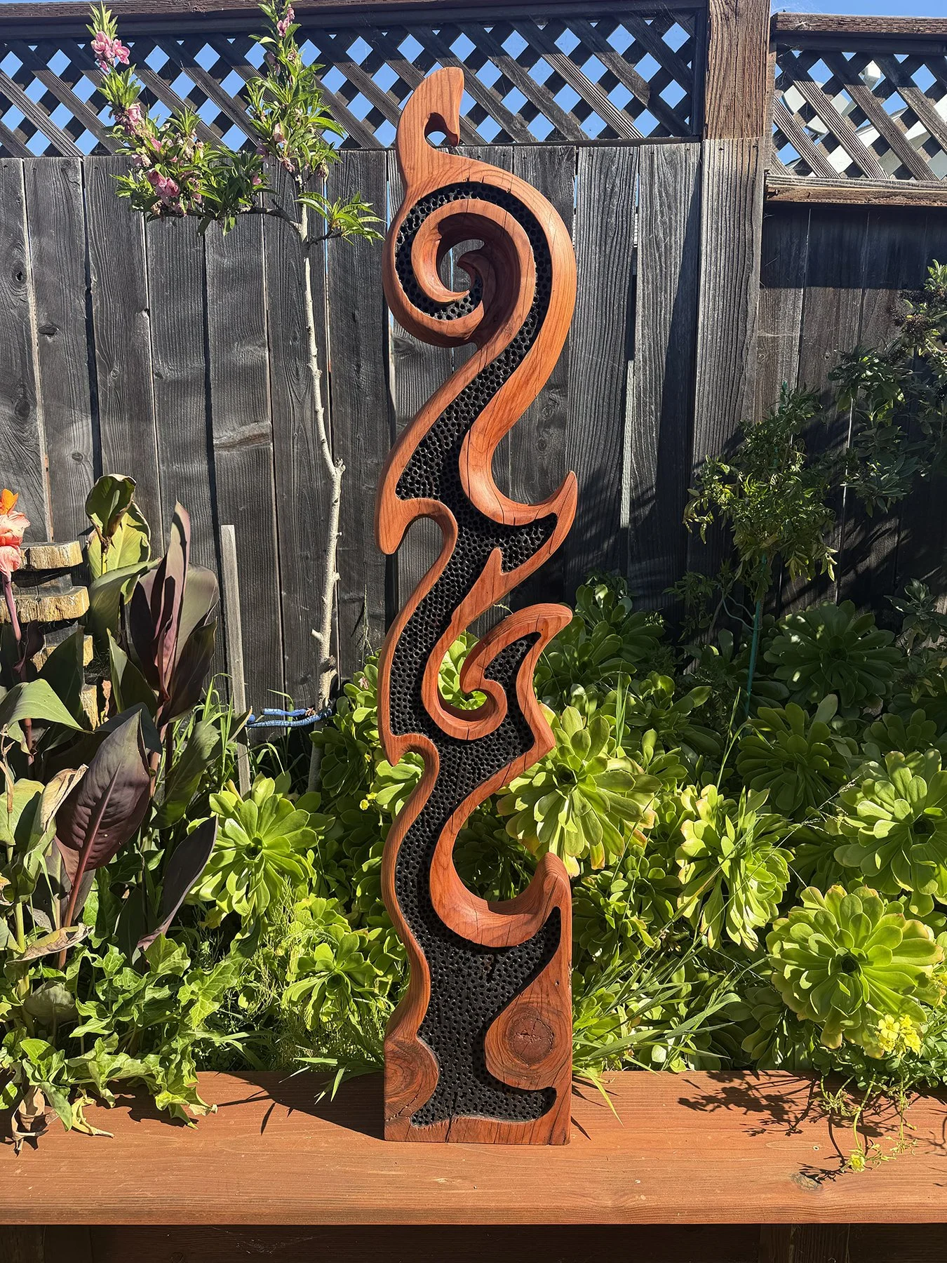 Wood Hook Coral.jpg