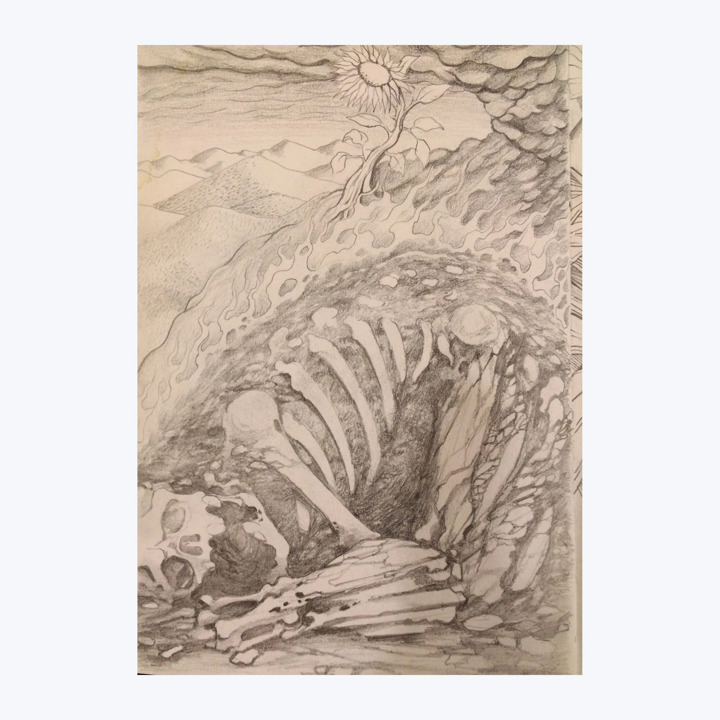 Old Bones